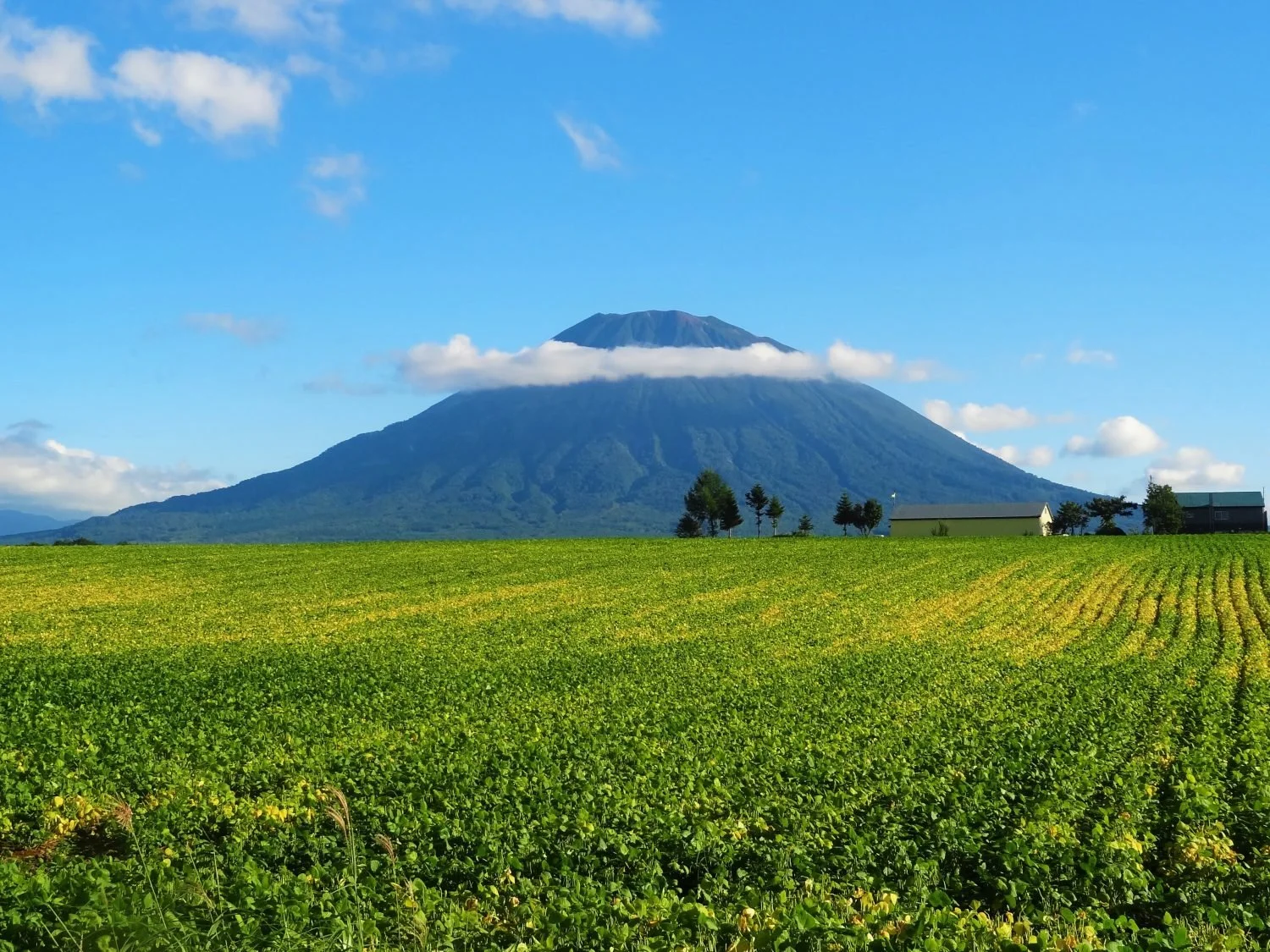 Niseko, Hokkaido - Summer 2027