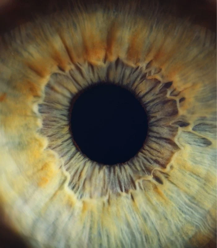 Μακροφωτογραφία ίριδας που απεικονίζει τις φυσικές αποχρώσεις του χρώματος των ματιών