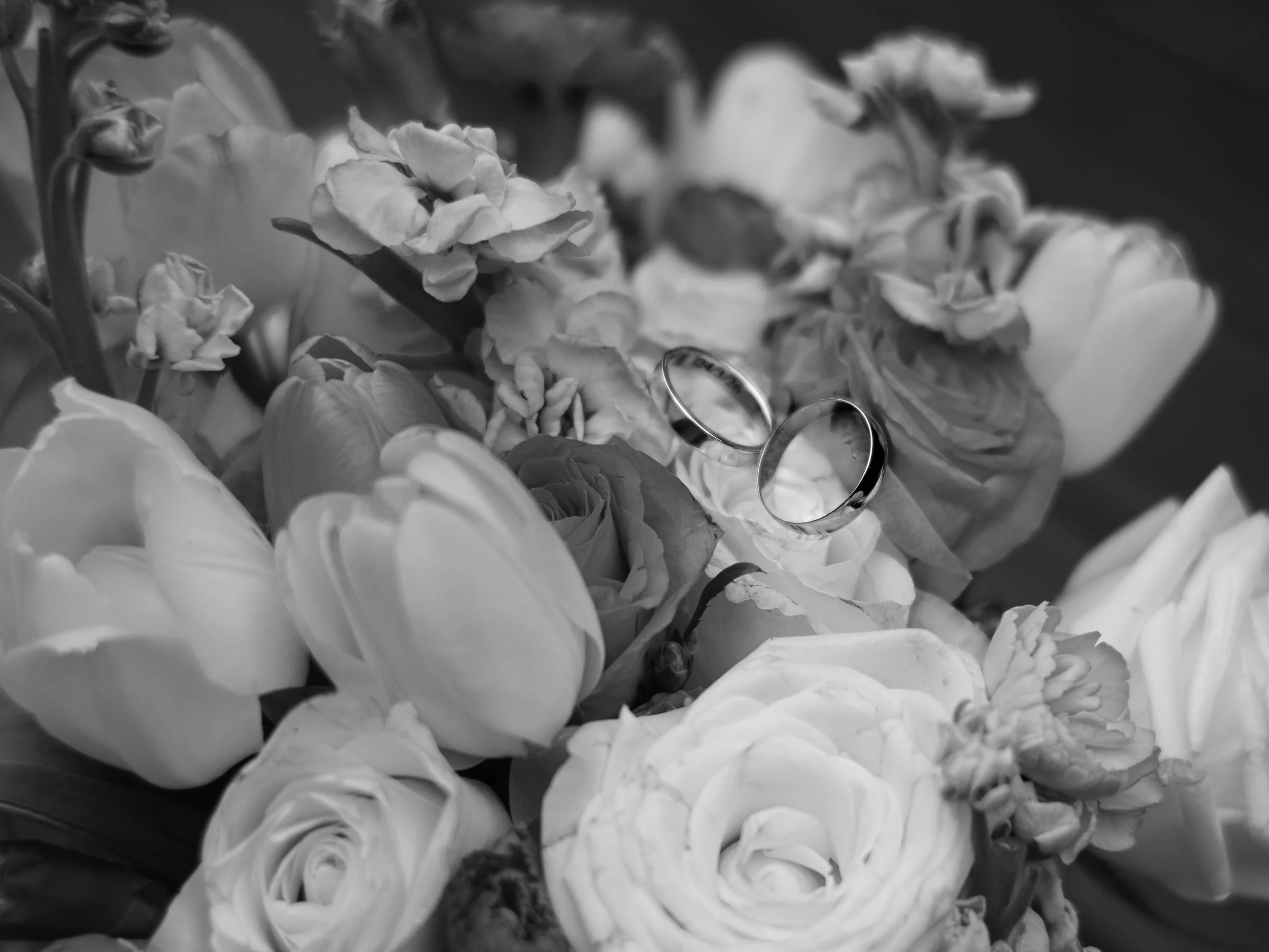 DSCF8382.jpg