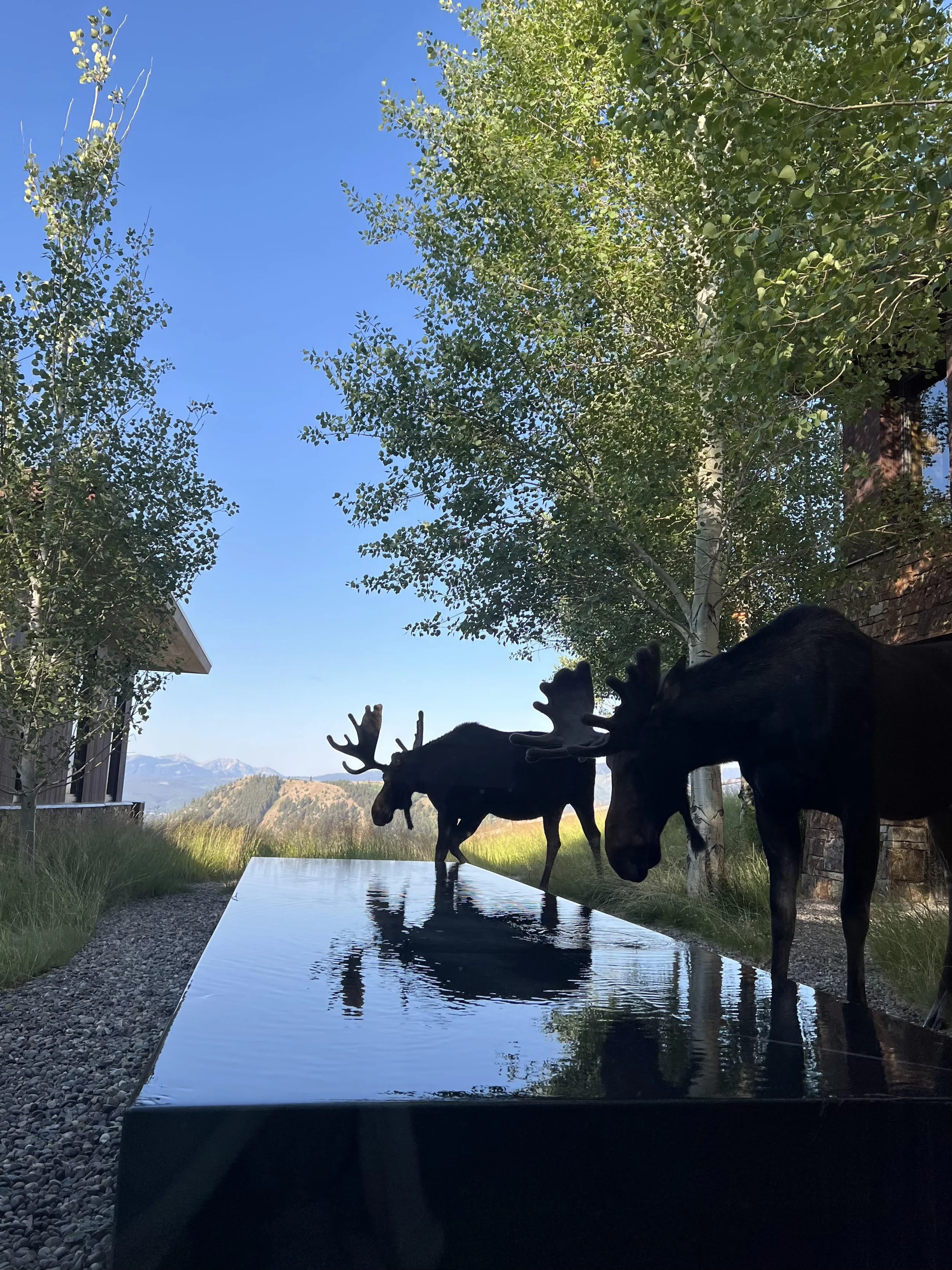 Wyoming, My Home Away From Home