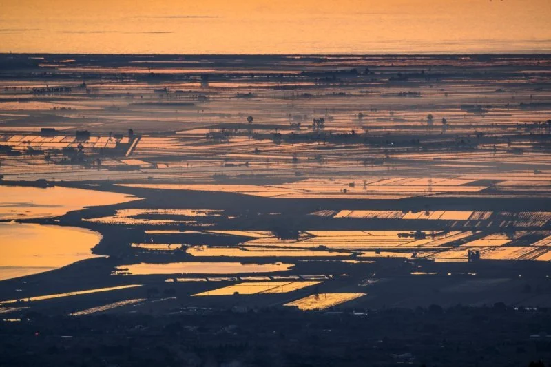 Parc natural del Delta de l'Ebre. Foto: Sergi Boixader