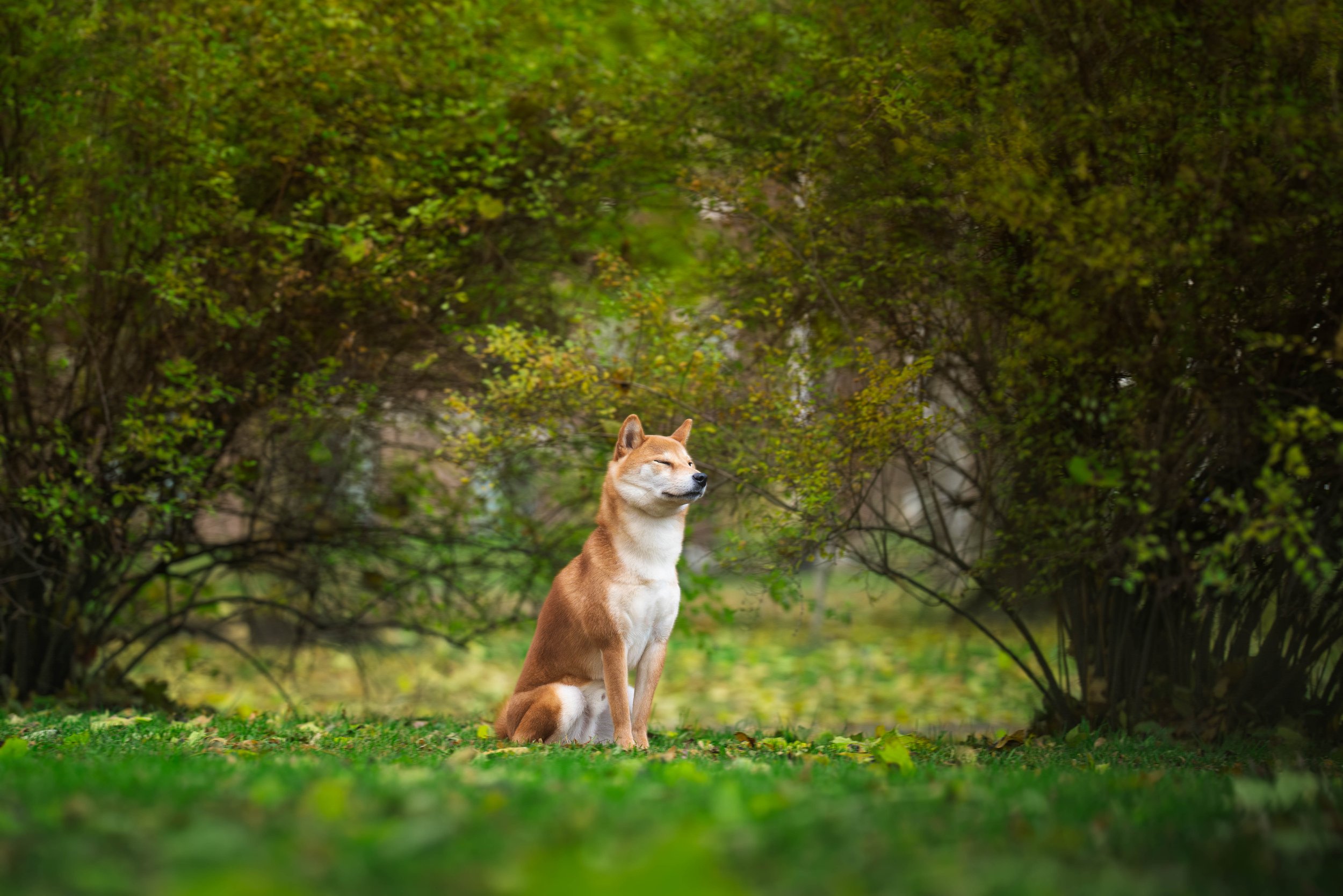 DSC01751-Edit-3.jpg