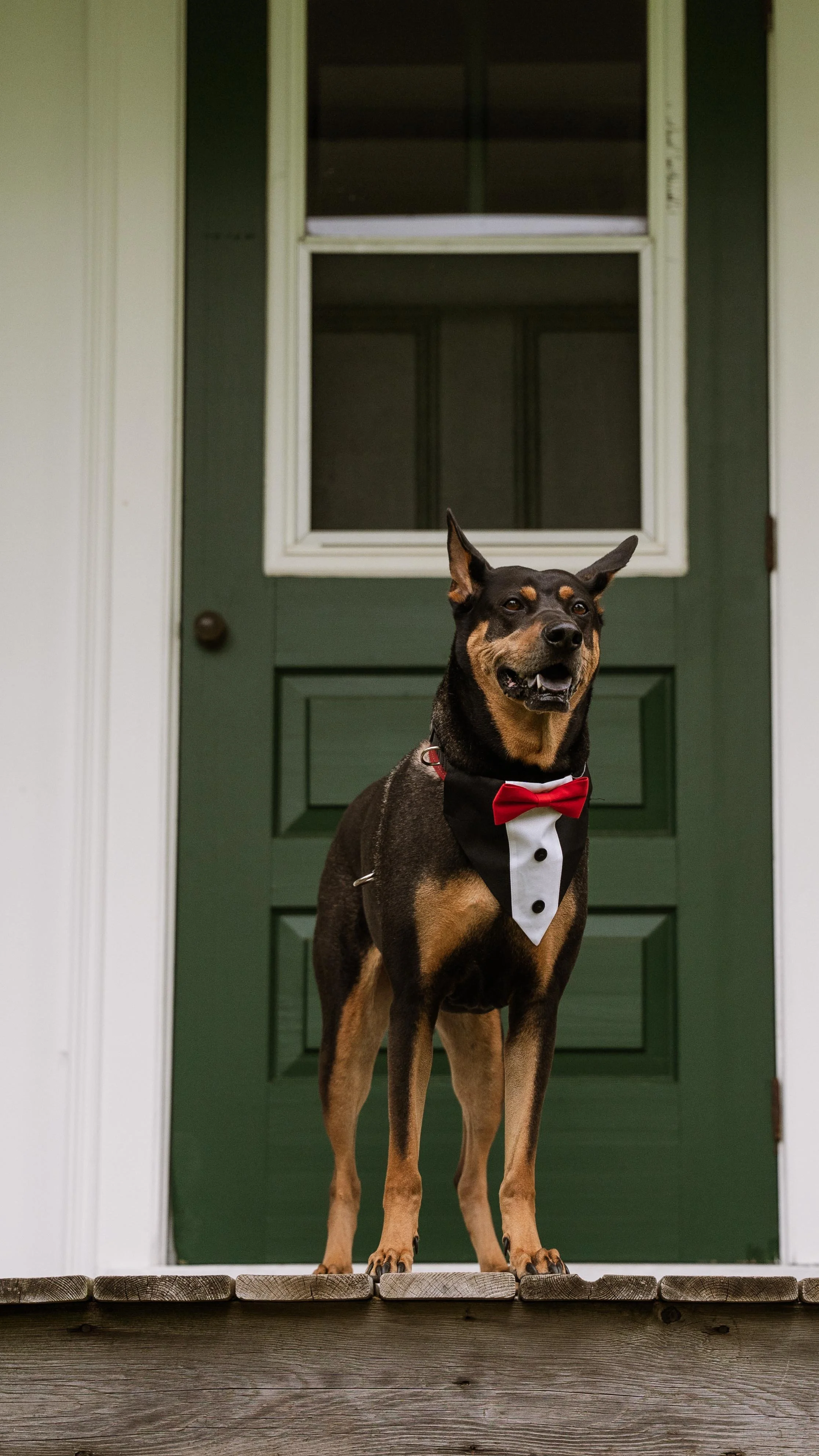 Barkham 2025 throwback-35.jpg