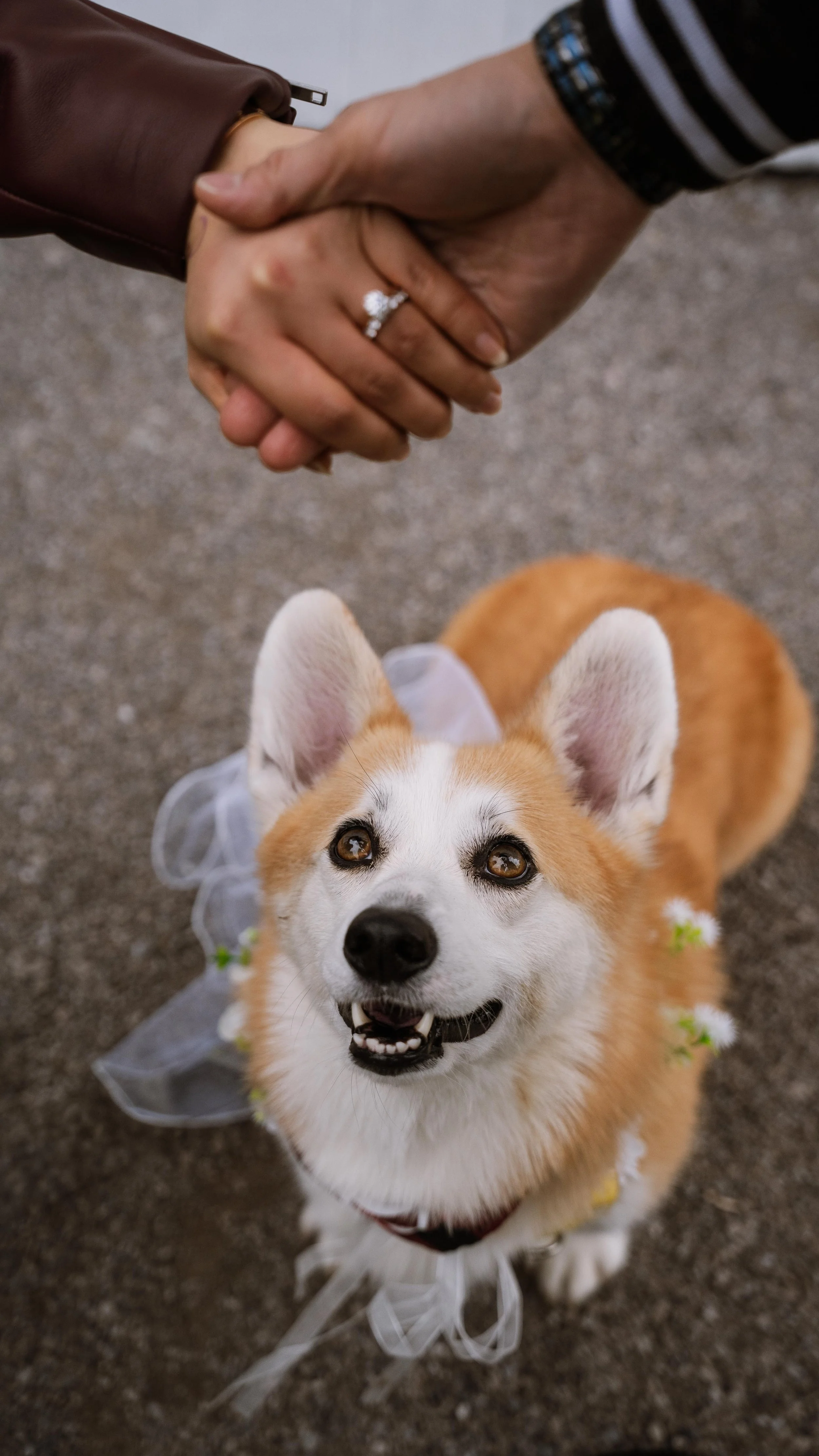 Barkham 2025 throwback-30.jpg