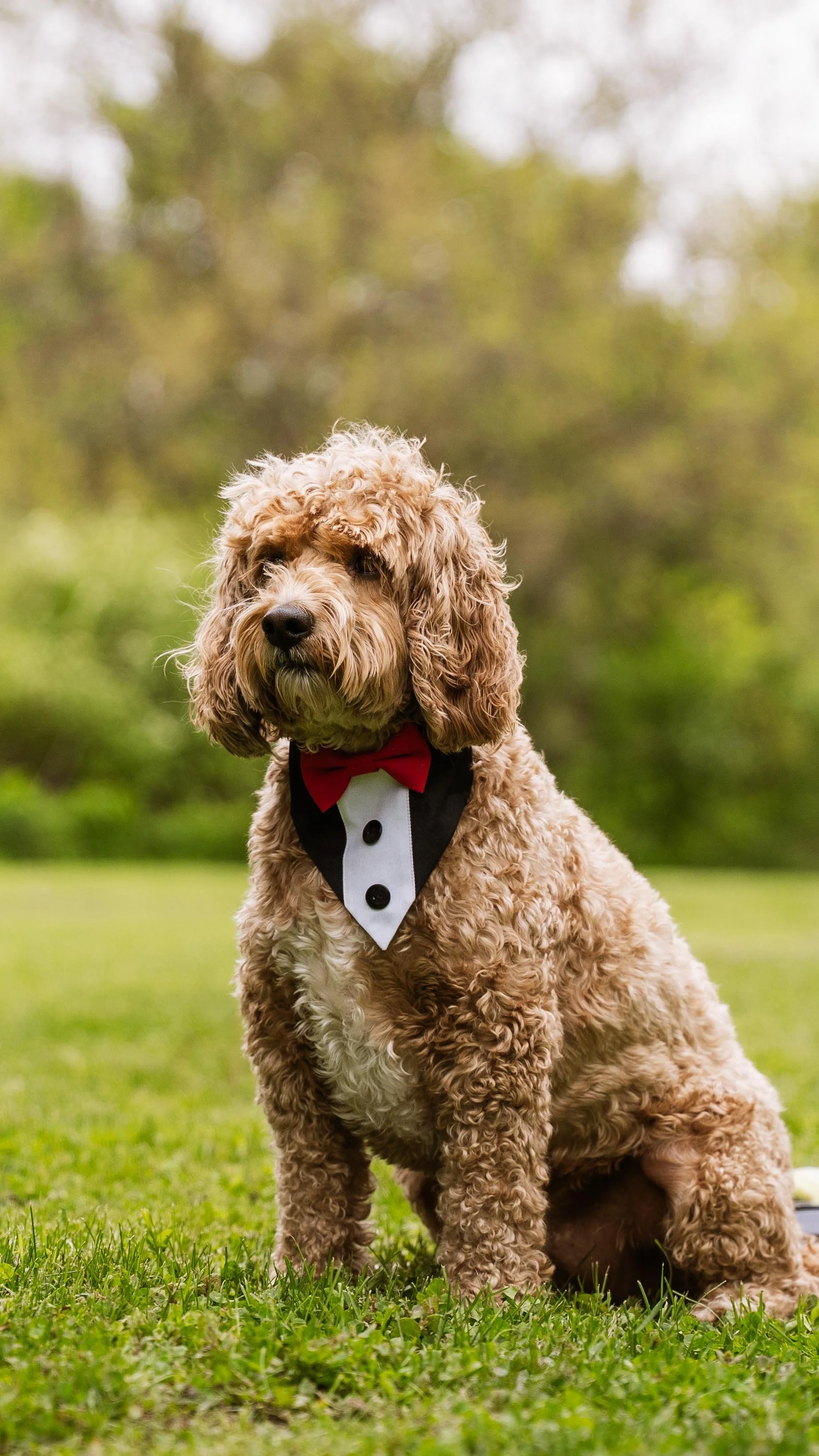 Barkham 2025 throwback-27.jpg