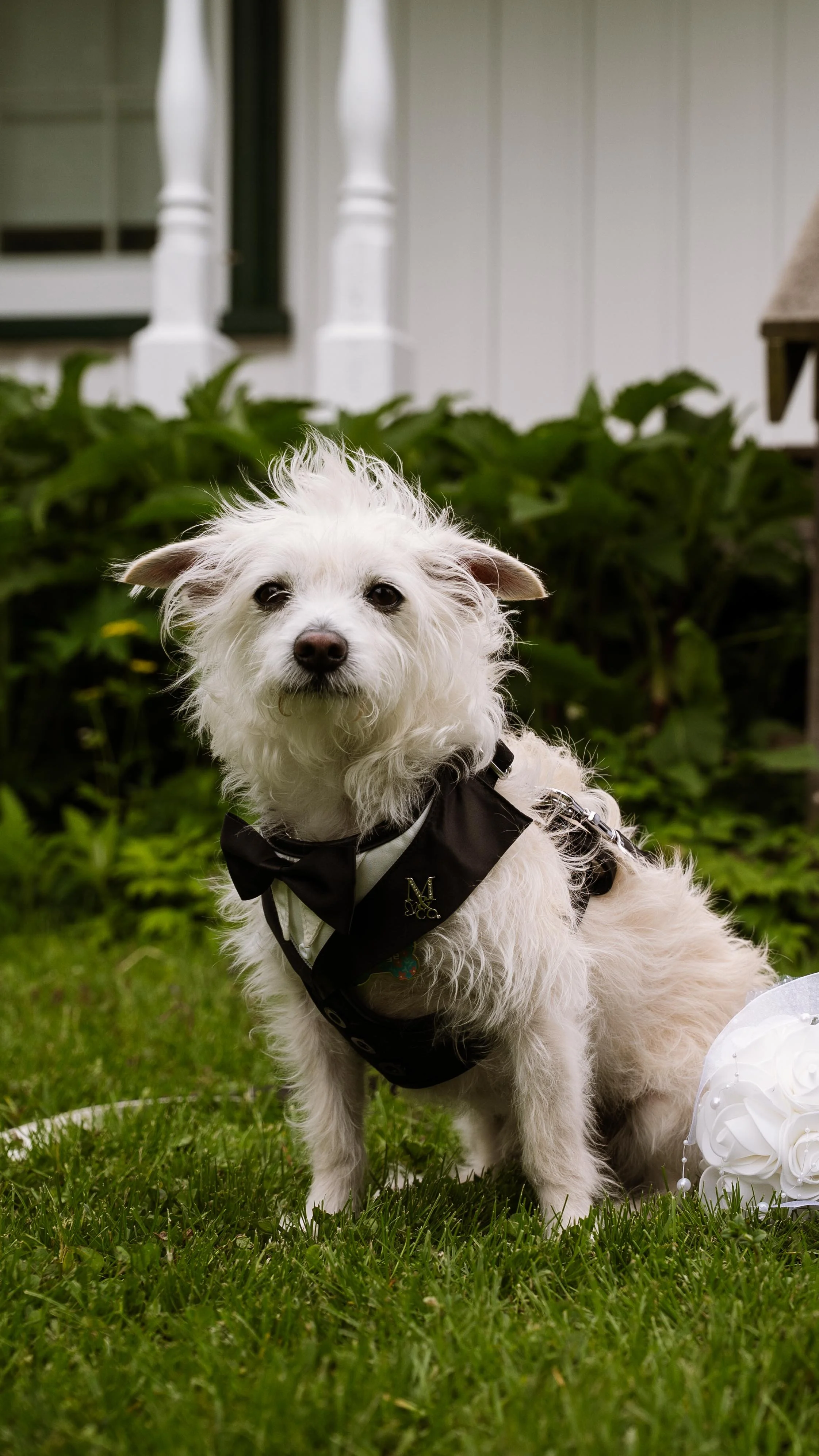 Barkham 2025 throwback-20.jpg