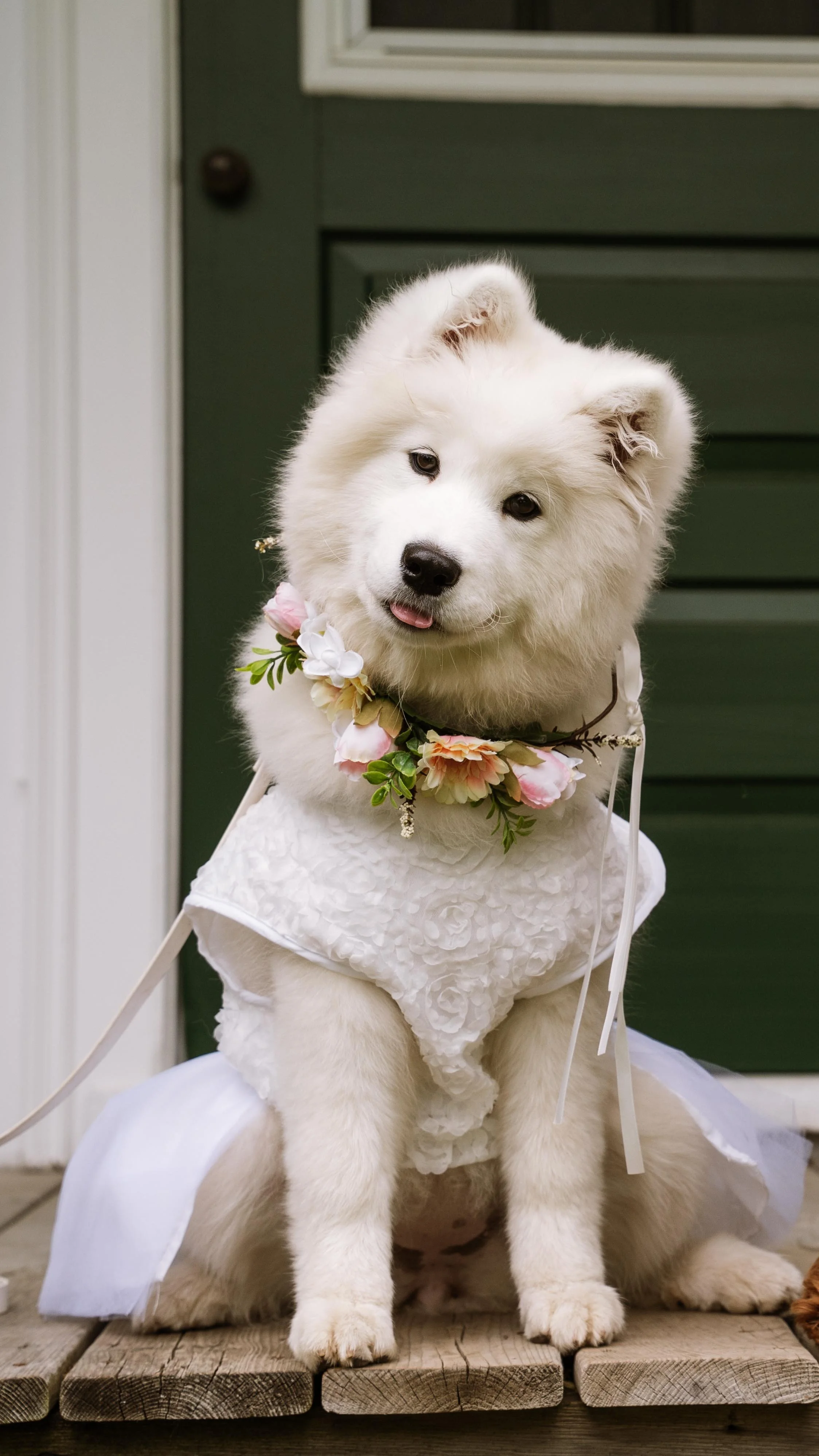 Barkham 2025 throwback-17.jpg