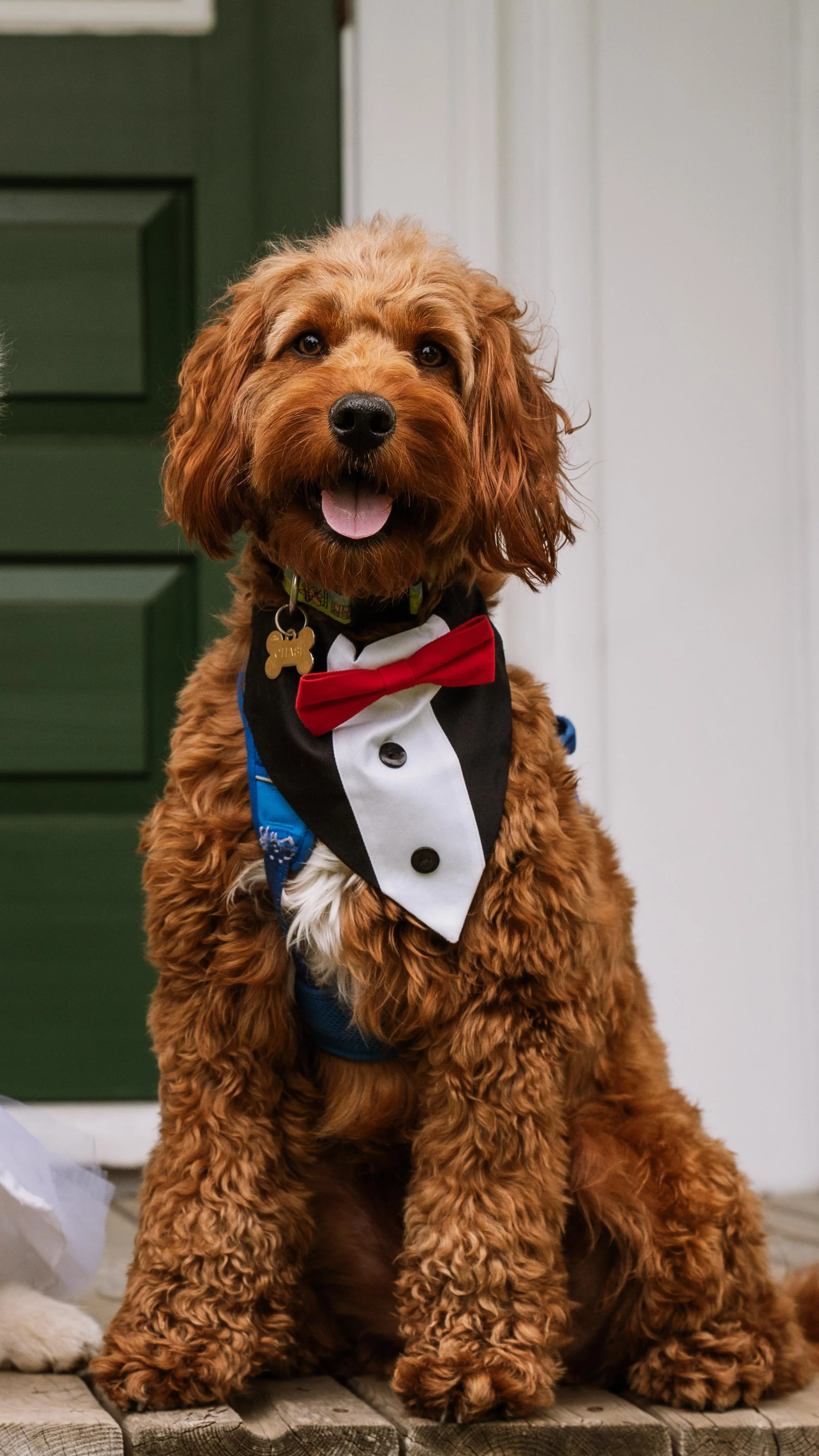 Barkham 2025 throwback-18.jpg