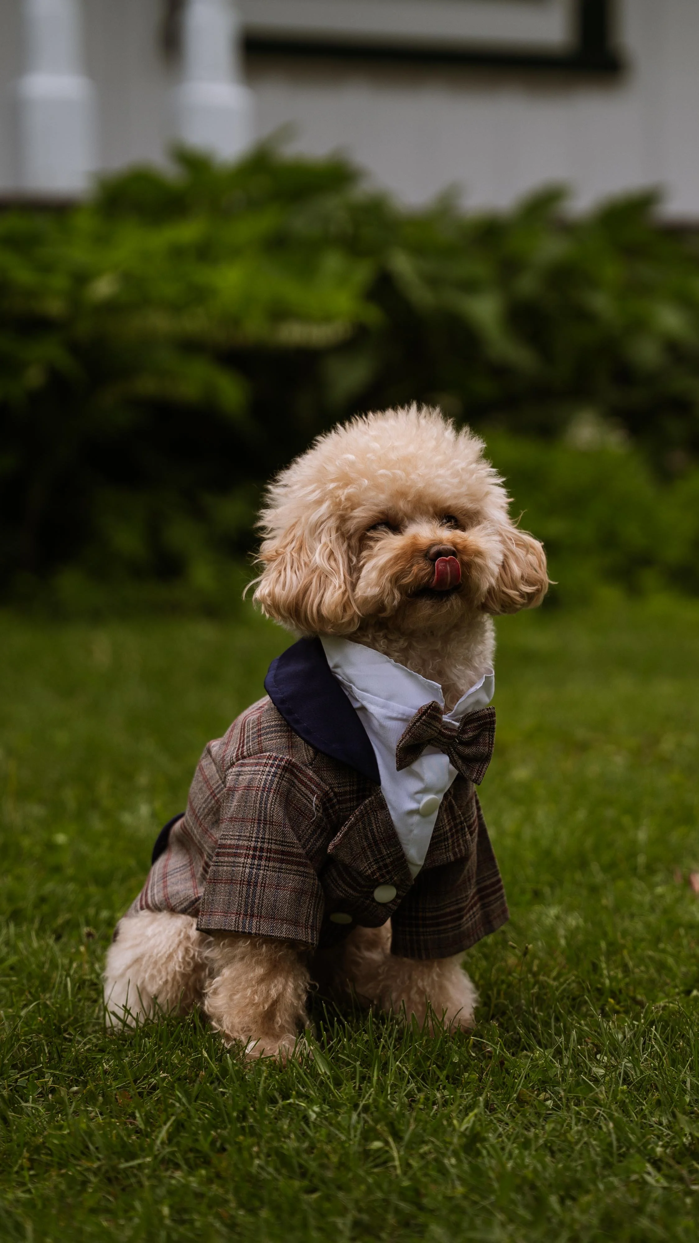 Barkham 2025 throwback-15.jpg