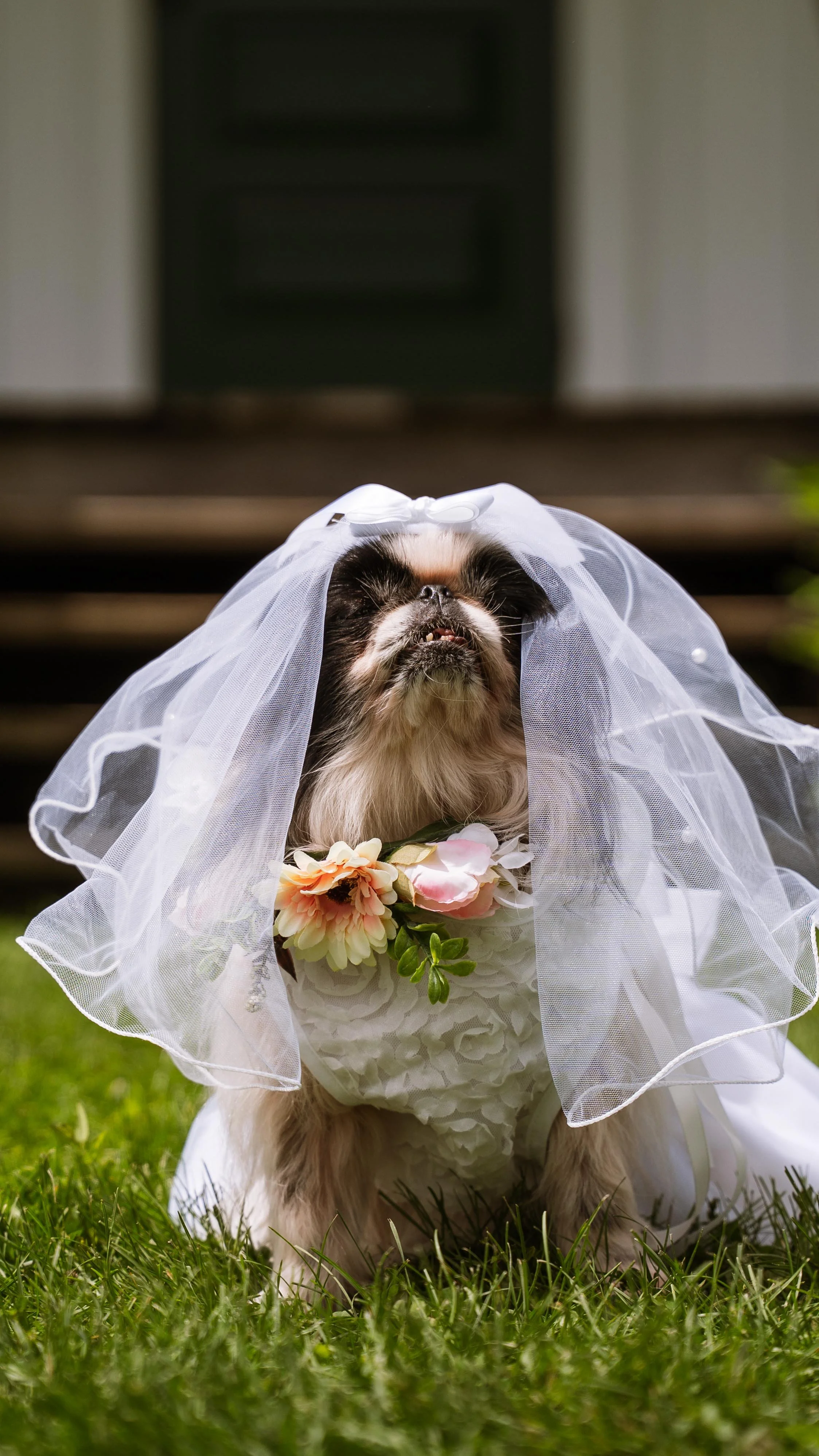 Barkham 2025 throwback-12.jpg
