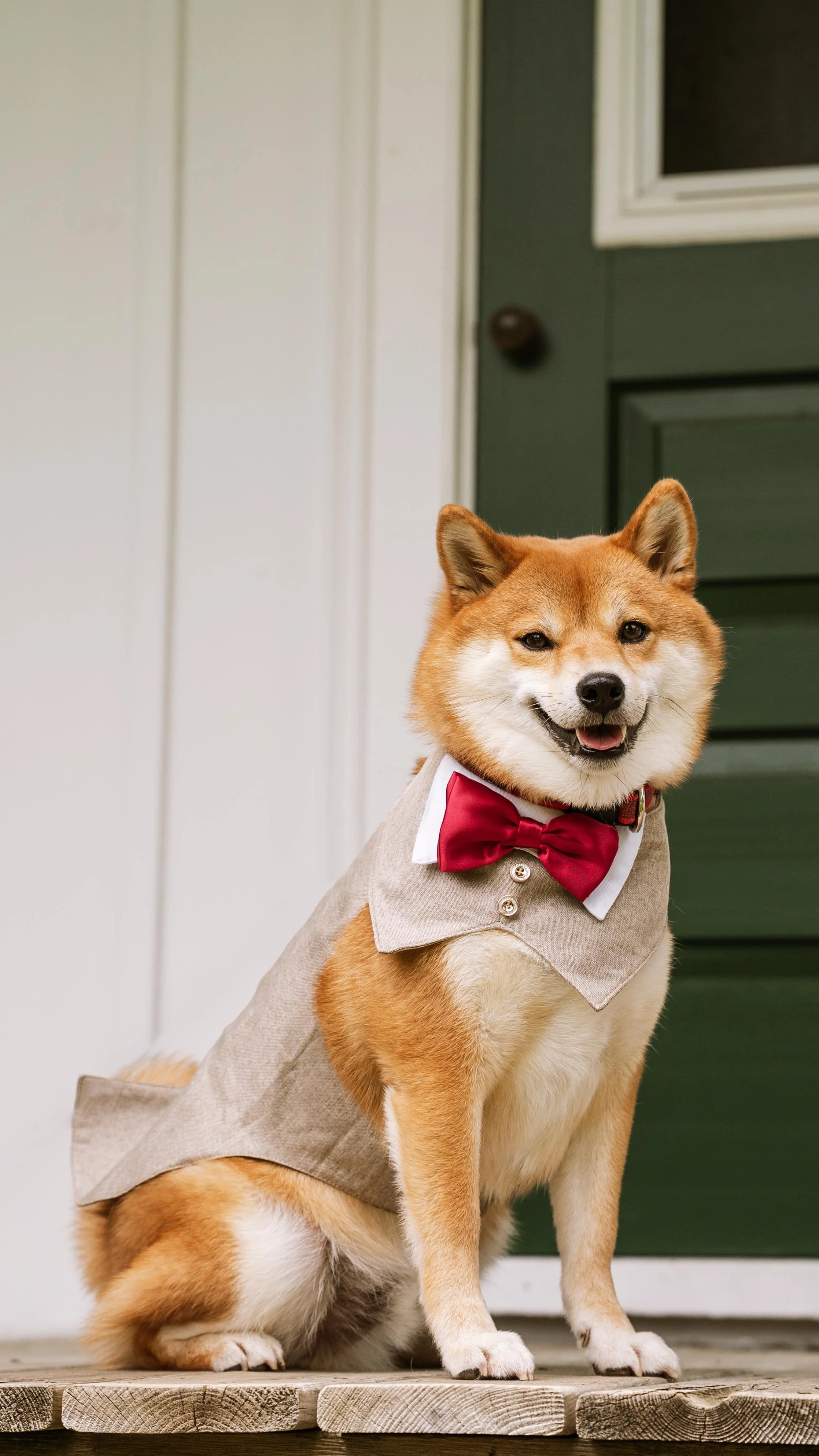 Barkham 2025 throwback-10.jpg