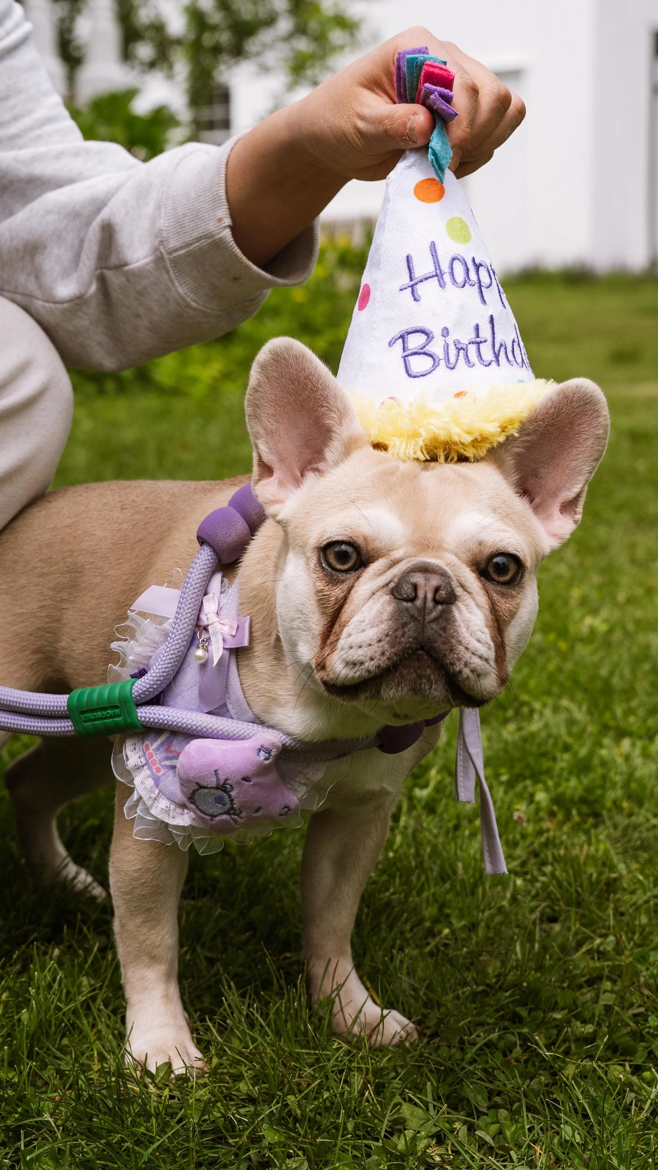 Barkham 2025 throwback-11.jpg