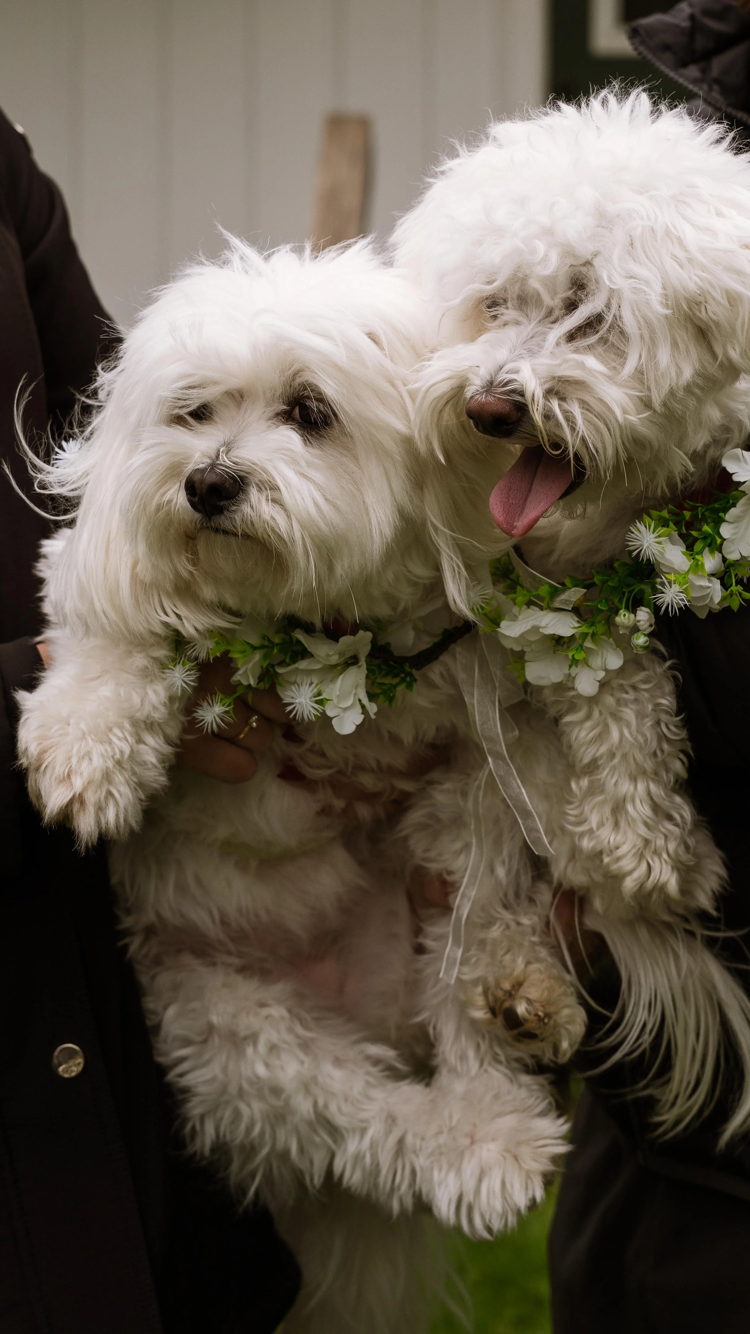 Barkham 2025 throwback-7.jpg