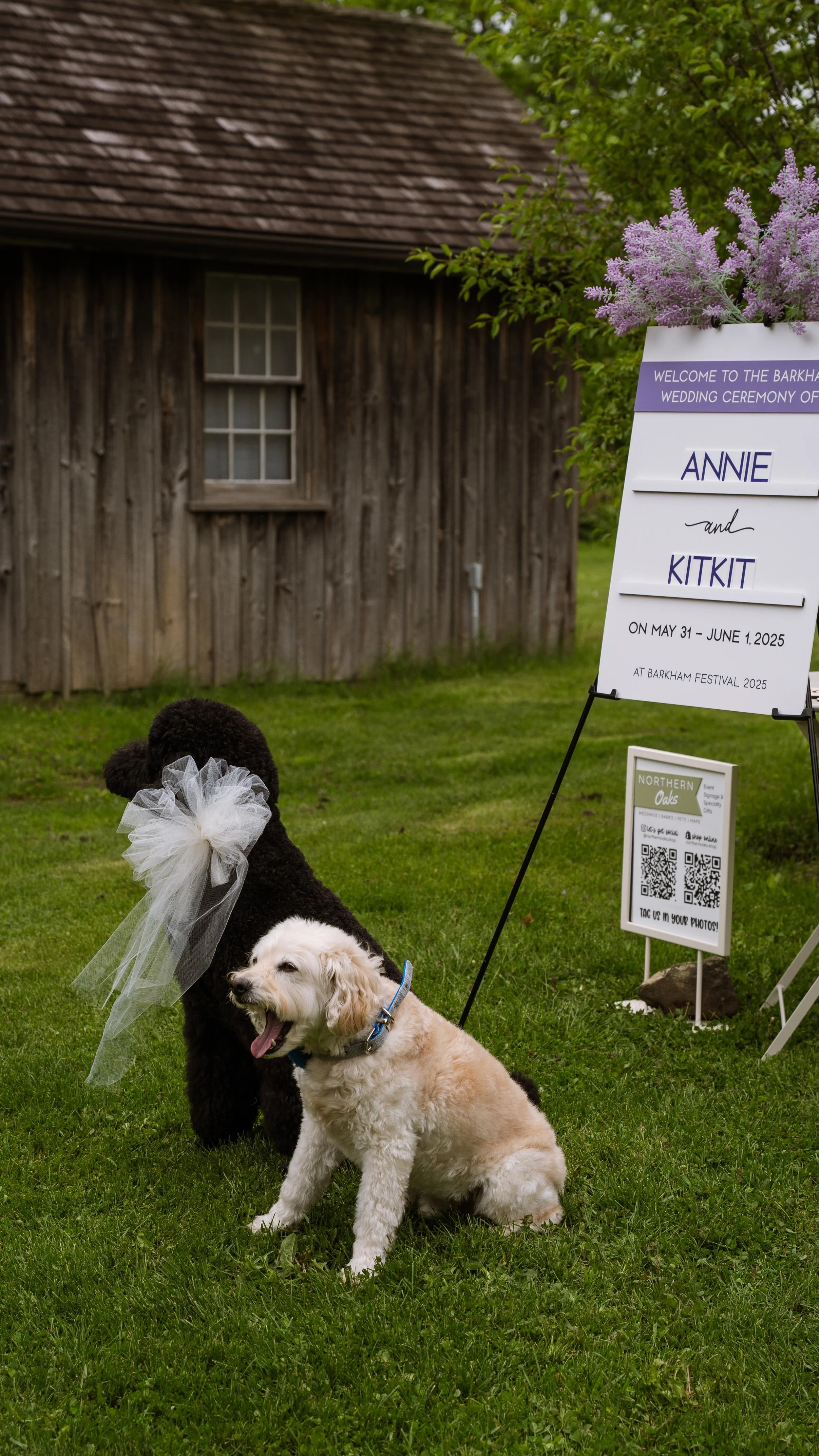 Barkham 2025 throwback-6.jpg