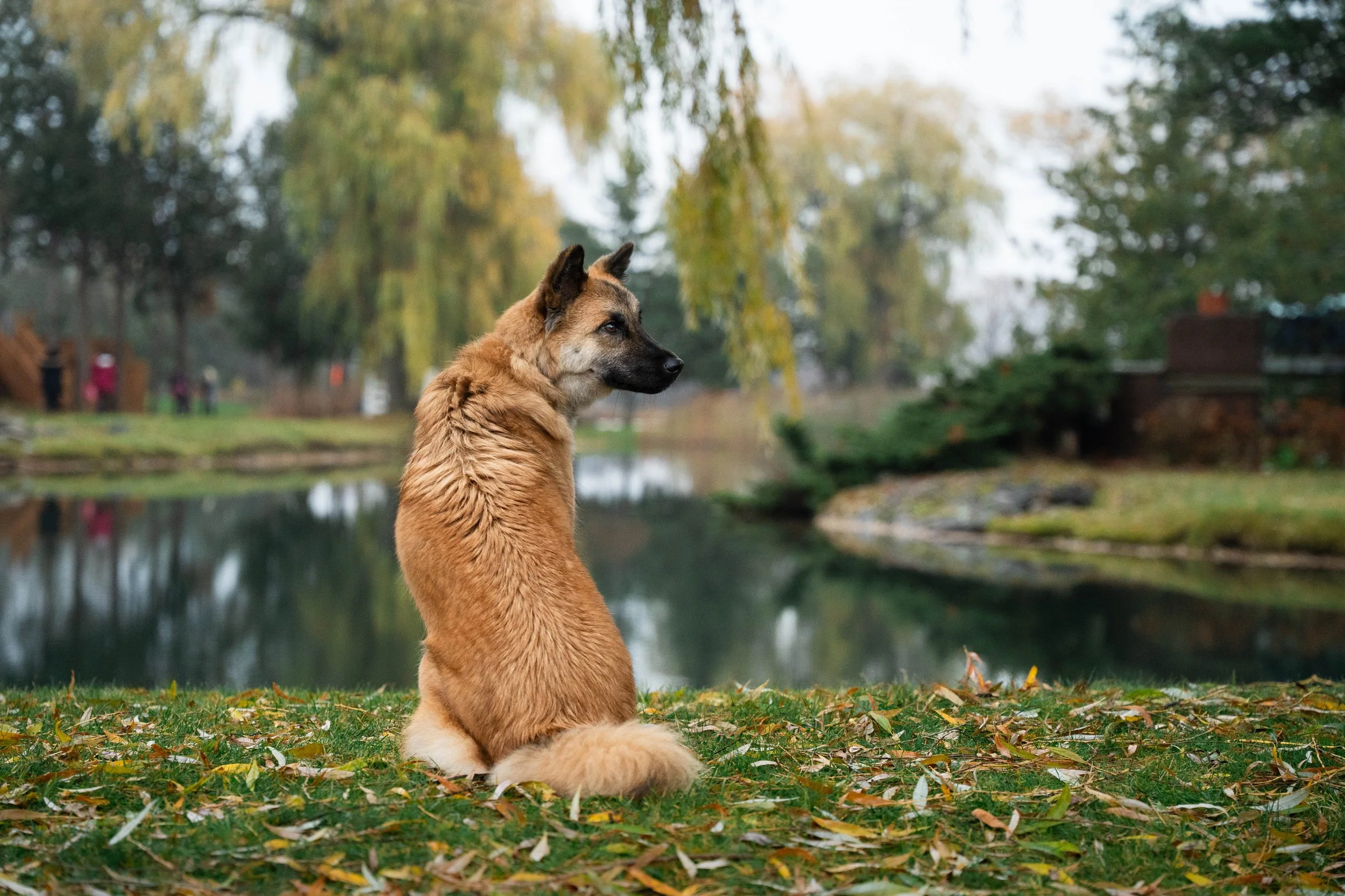 Dogs & Hoomans Candid Shots (108 of 127).jpg