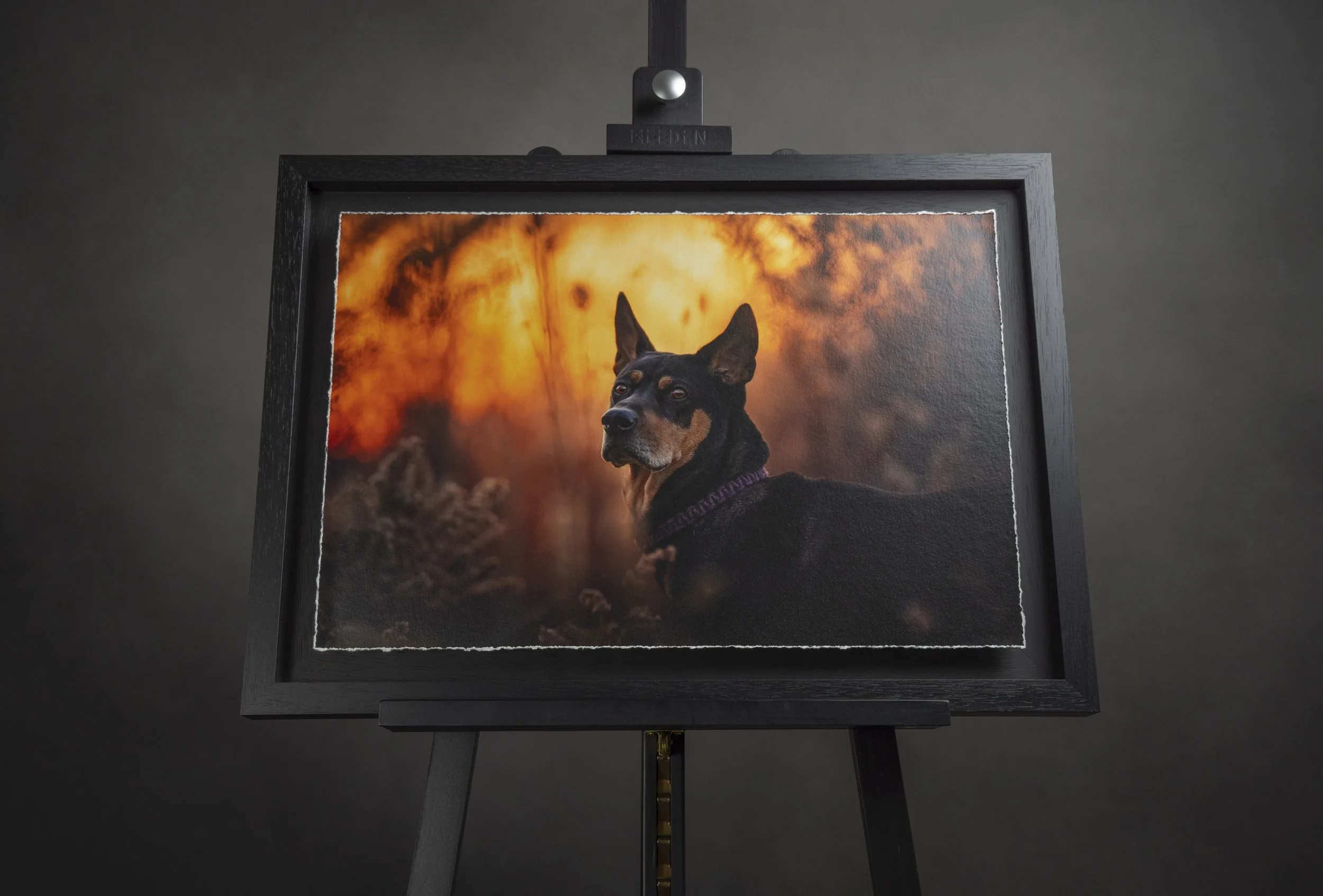 A framed picture of a dog with large pointed ears, set against a background of flames or fire.