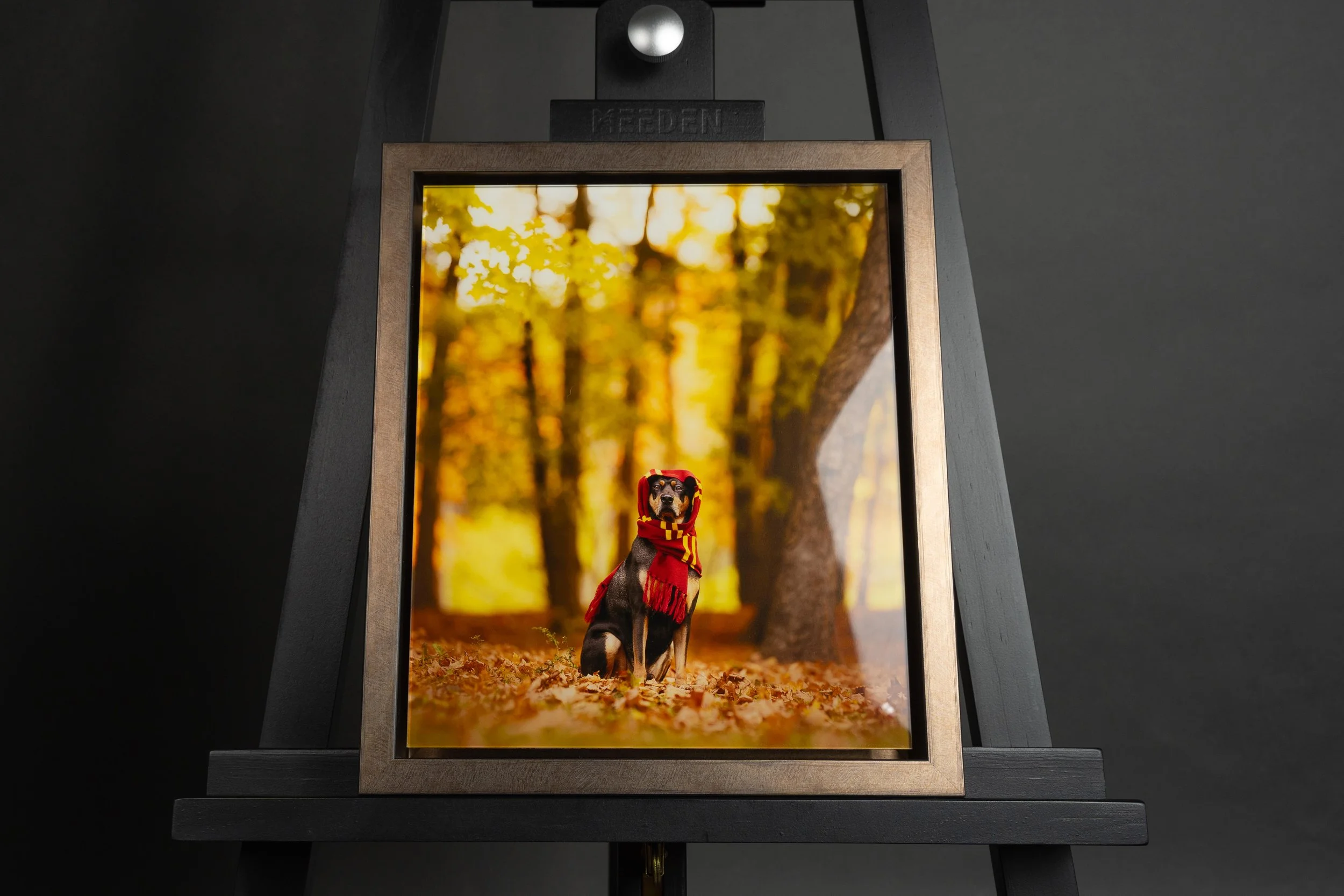 A print of a dog wearing a red sweater with a yellow tartan scarf, standing on a fallen leaves forest trail with trees in the background during autumn.
