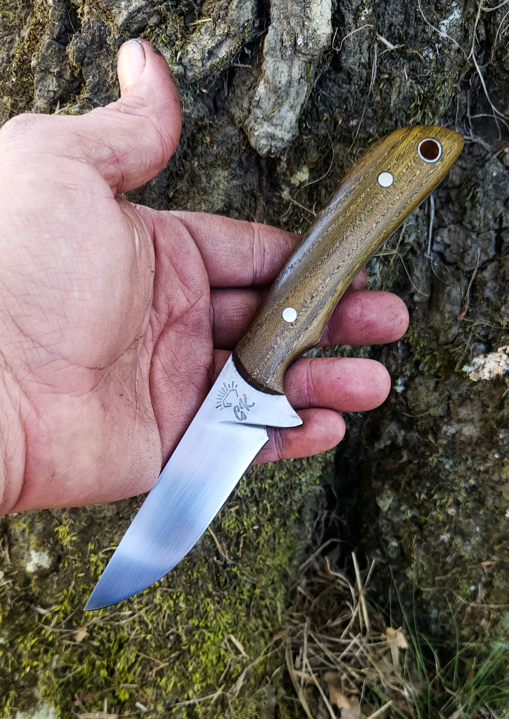 A hand holding a small fixed-blade knife with a wooden handle against a background of moss-covered bark.