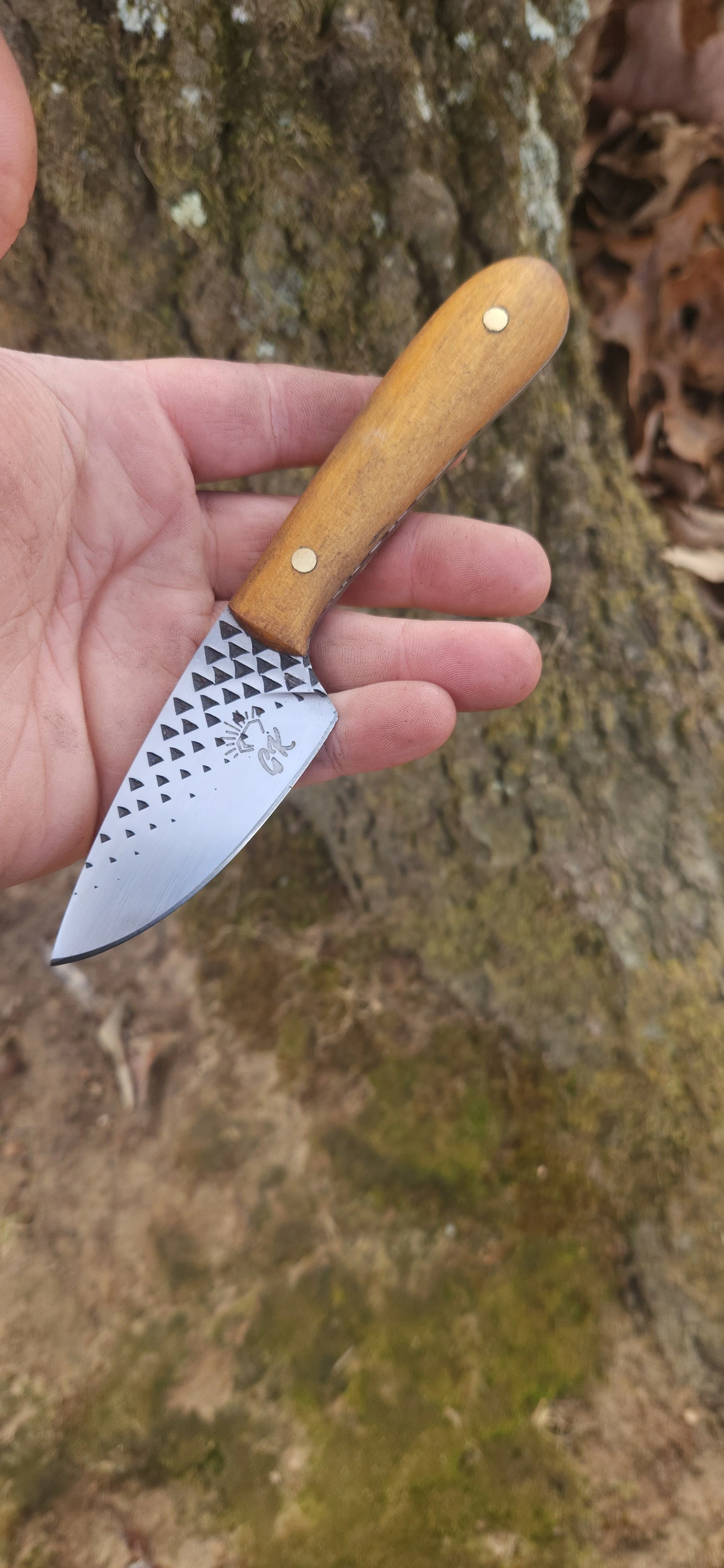 A person holding a small knife with a decorated blade and a wooden handle, standing outdoors near a tree.