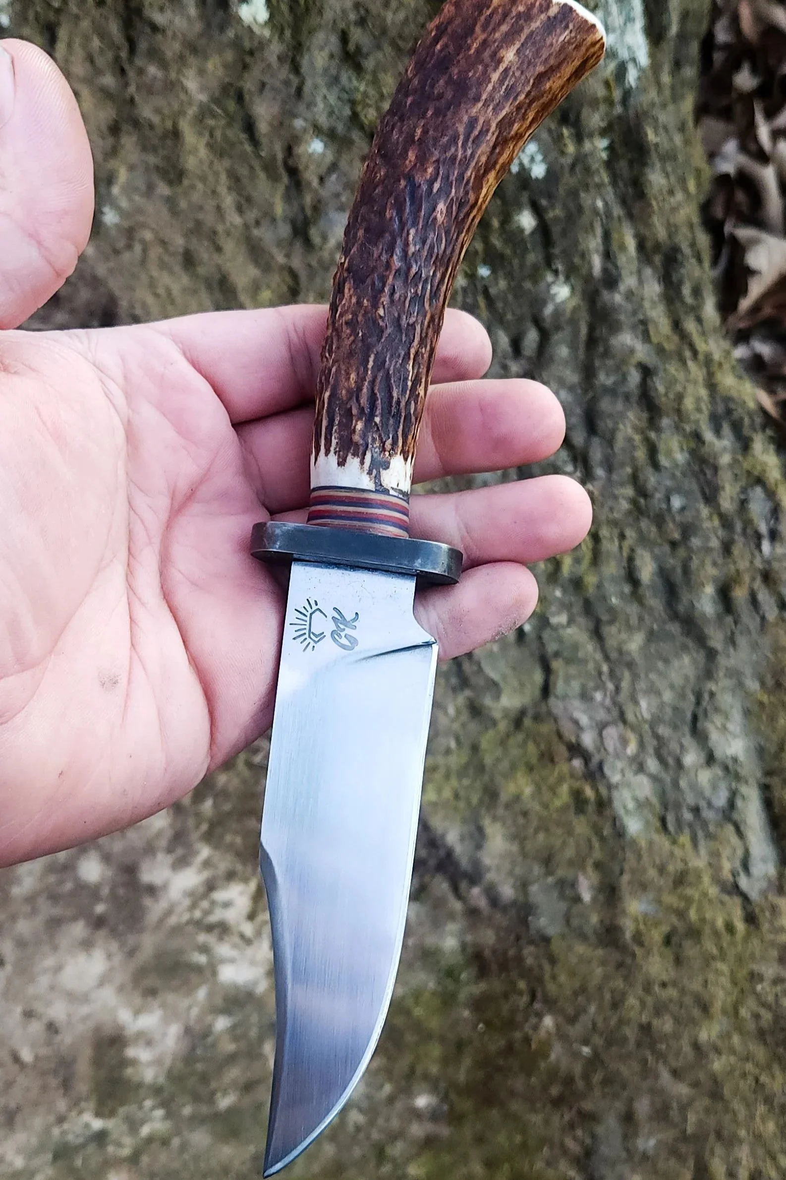 A person holding a fixed-blade knife with a wooden handle and a stainless steel blade outdoors near a mossy log.