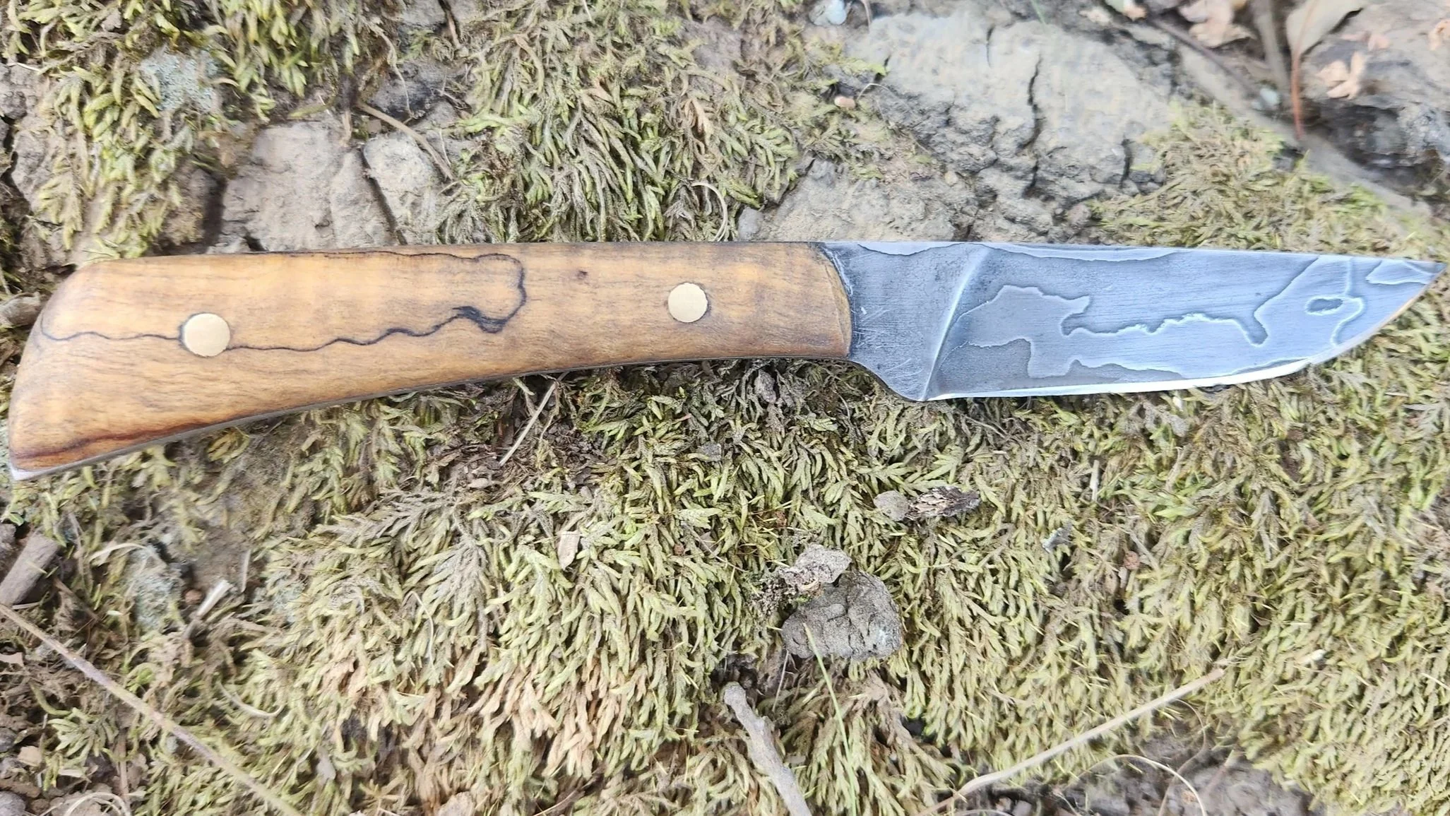 A fixed-blade knife with a wooden handle resting on moss and dirt outdoors.