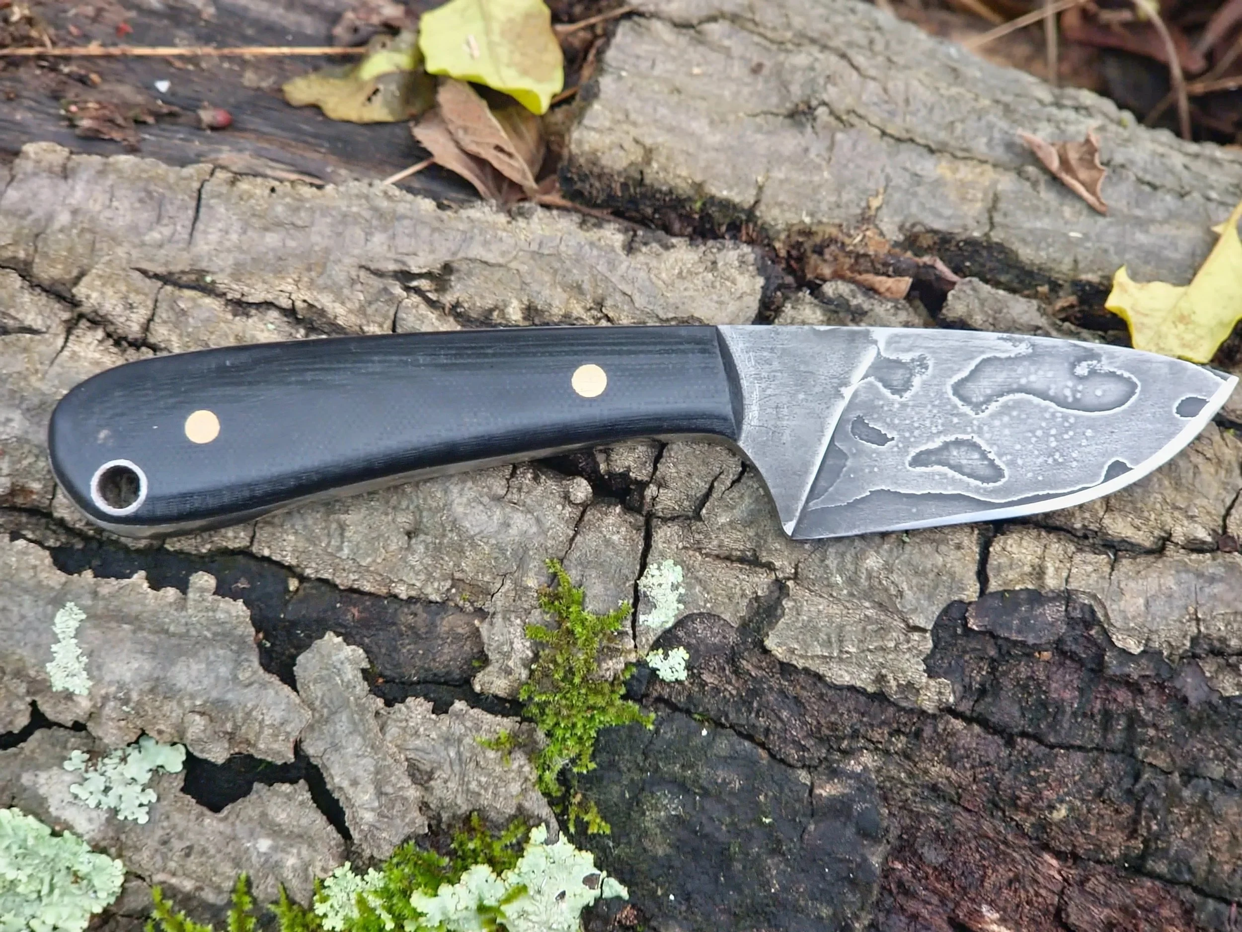 A small fixed-blade knife with a black handle and a textured surface, resting on a large, cracked piece of wood outdoors, with some moss and fallen leaves nearby.