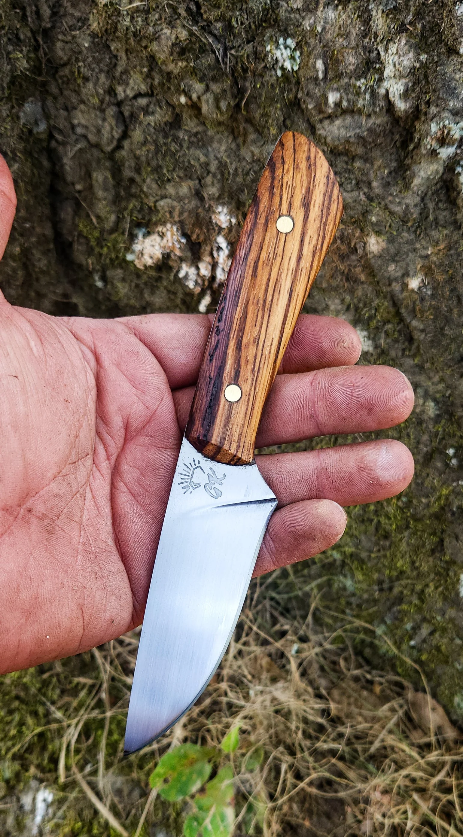 A hand holding a small fixed-blade knife with a wooden handle and a stainless steel blade, against a natural background of mossy rocks and grass.