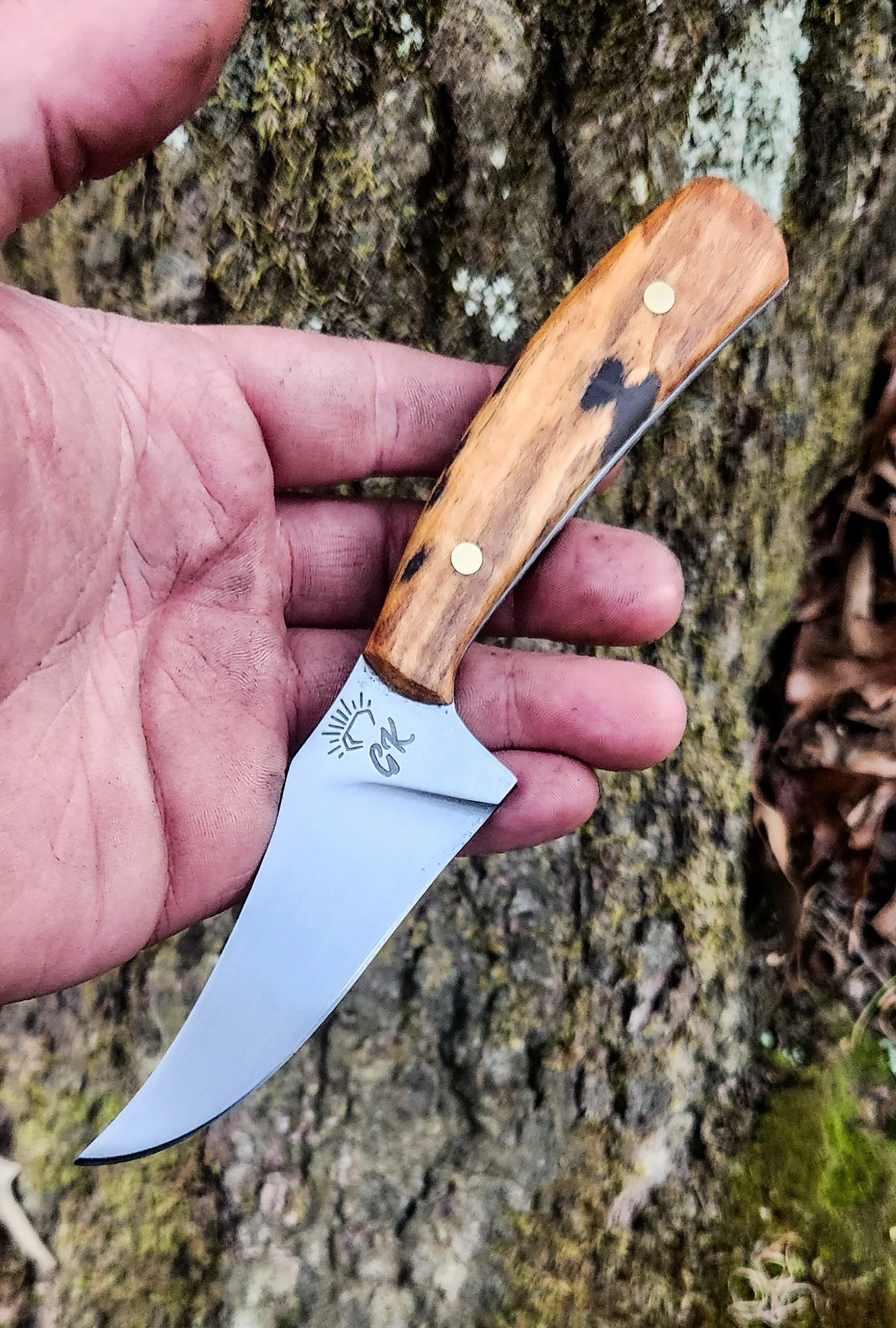 A person's hand holding a small knife with a handle made of wood, against a background of tree bark and moss.
