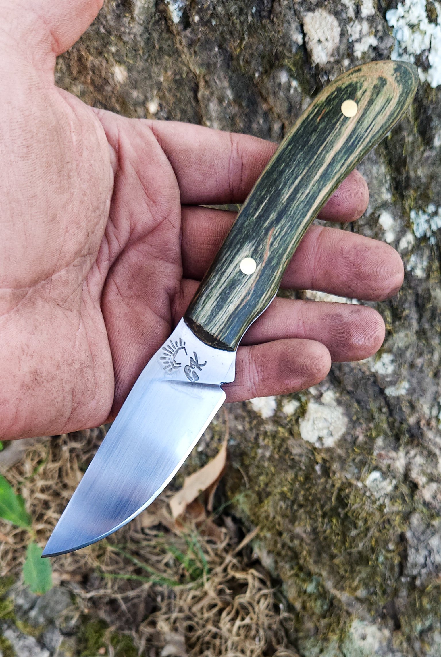 A hand holding a small fixed-blade knife with a stainless steel blade and a greenish-black wooden handle against a rocky outdoor background.