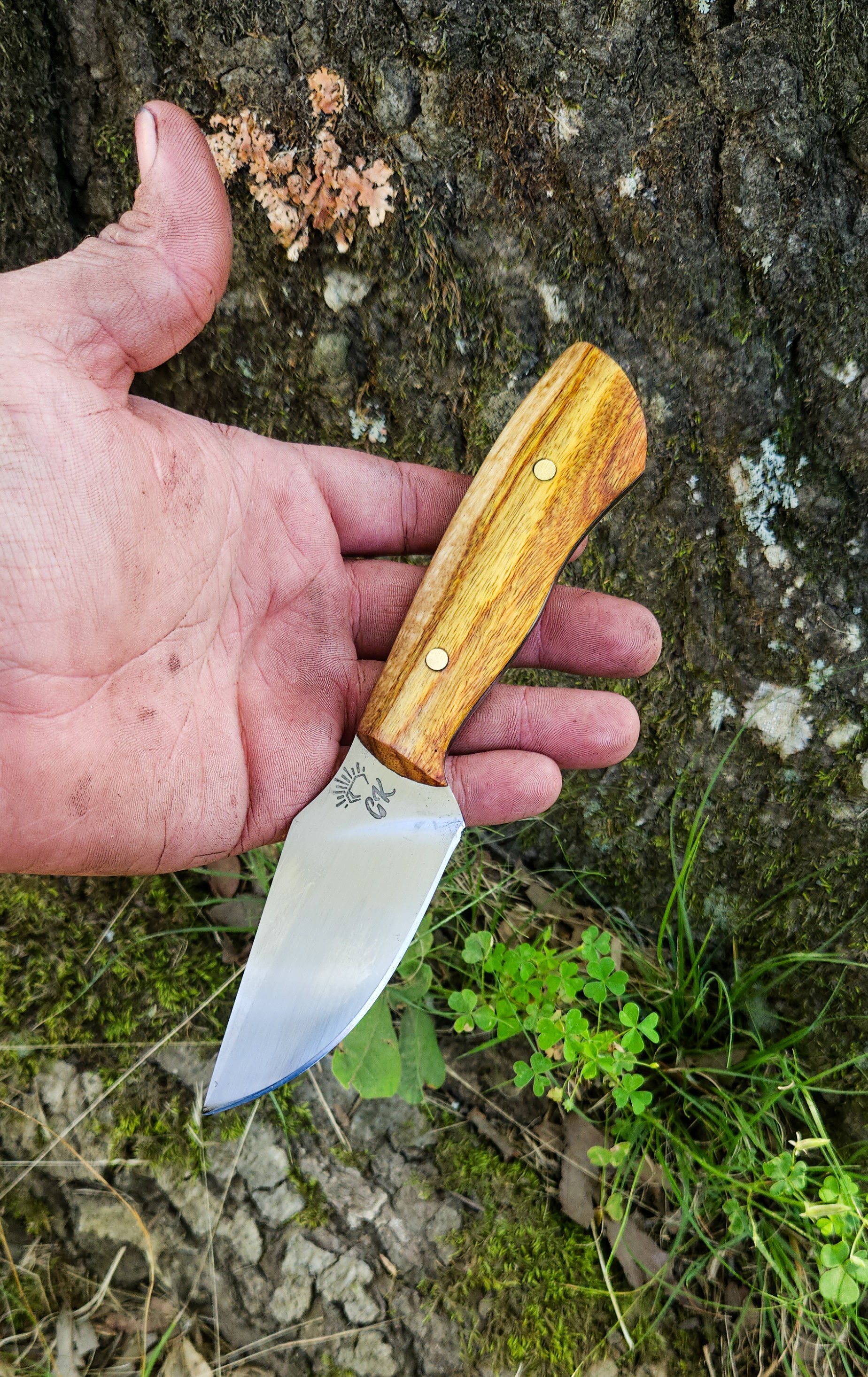 A hand holding a small fixed-blade knife with a wooden handle, outdoors against a mossy rock and green plants.