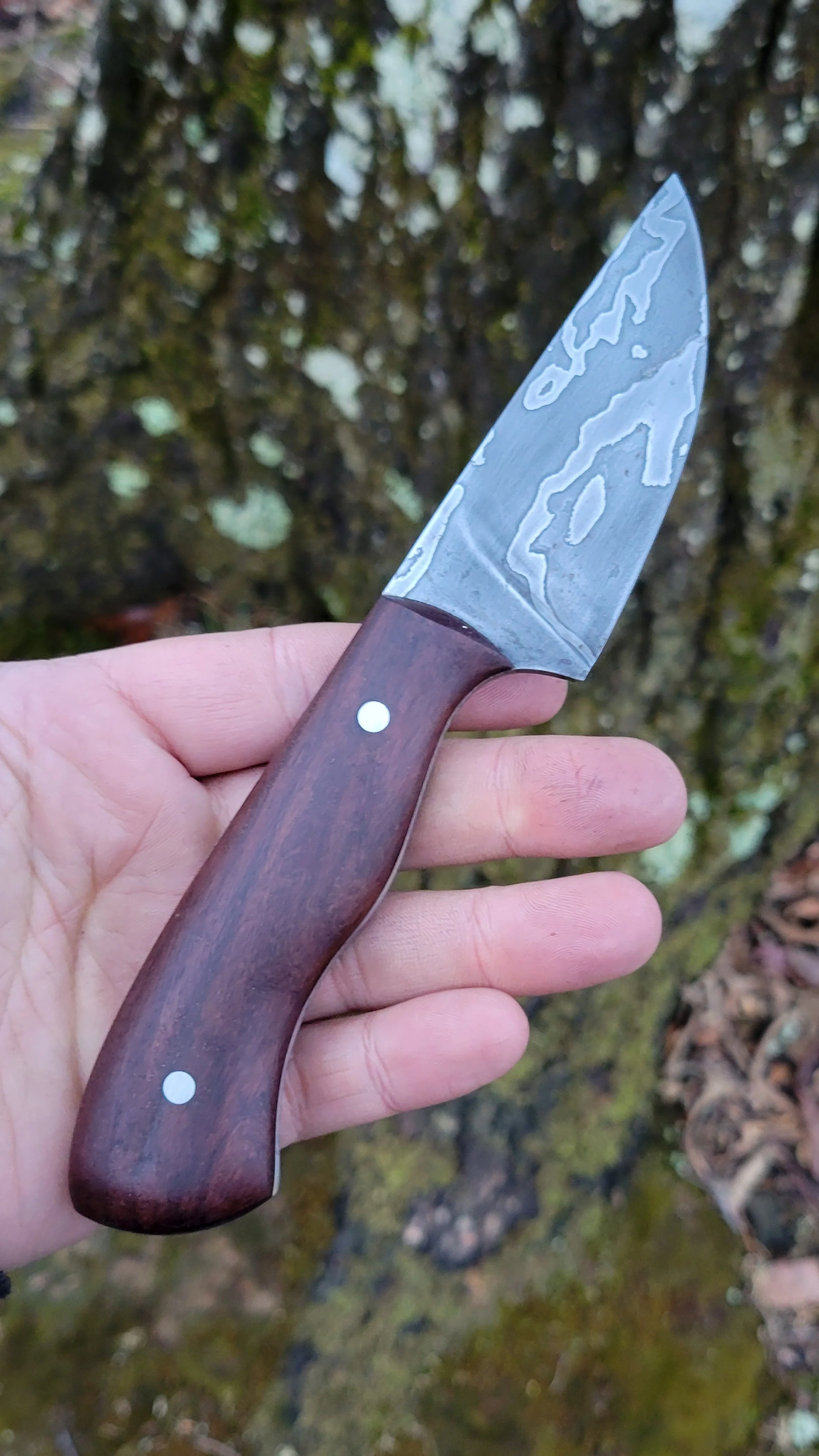 A hand holding a small folding knife with a wooden handle and a patterned gray blade, against a background of mossy tree bark.