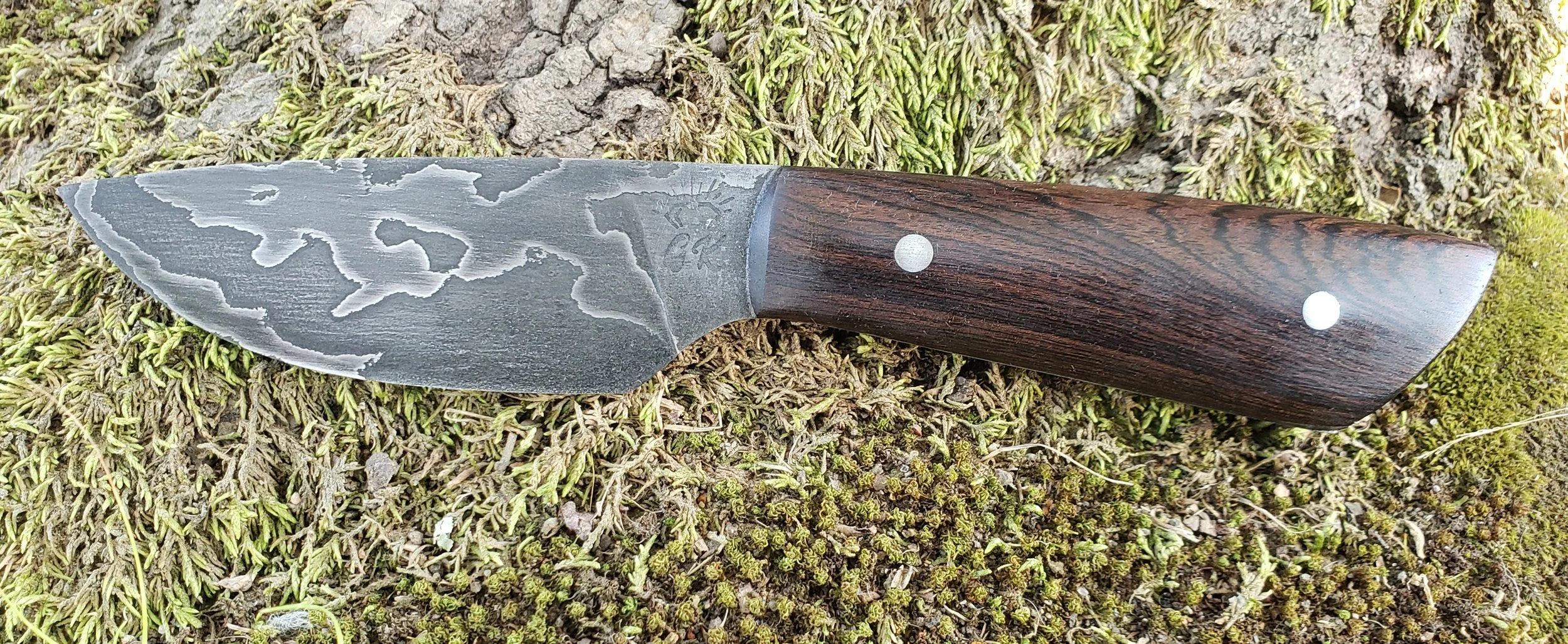 A handmade knife with a Damascus steel blade and a wooden handle, lying on a bed of moss and small plants.