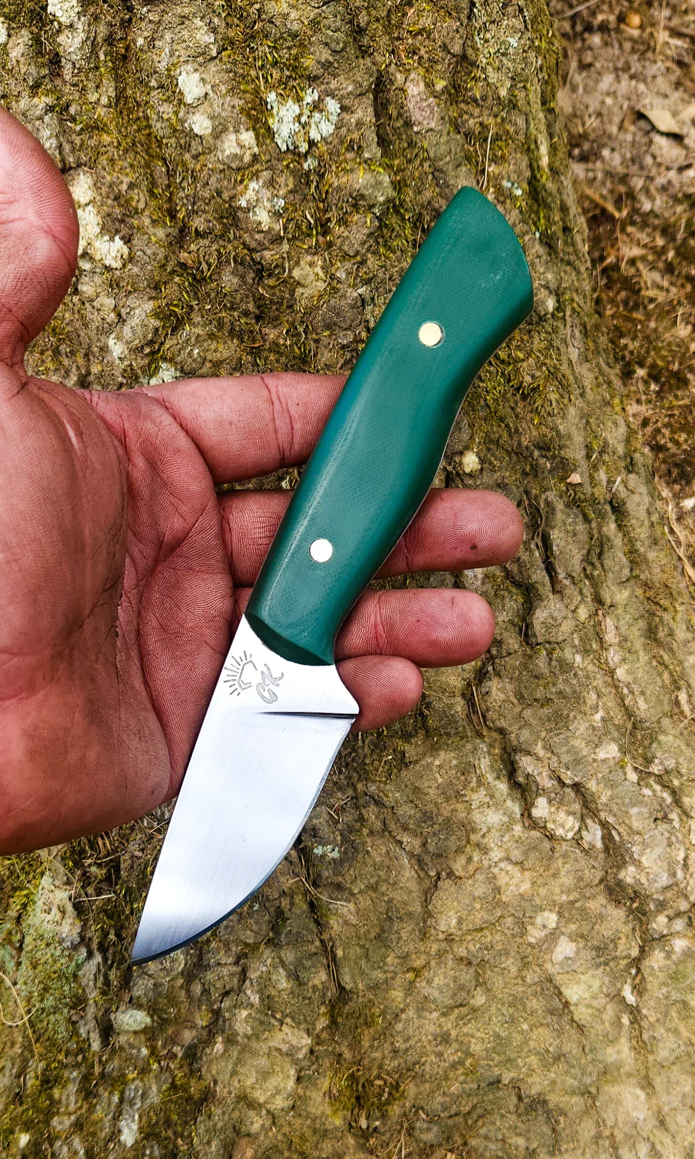 A green-handled fixed blade knife with a stainless steel blade being held over a tree bark surface.