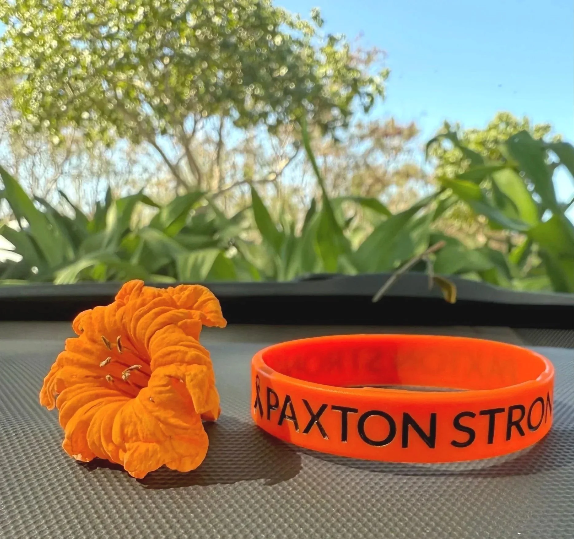 An orange flower with ruffled petals and black anthers, placed next to an orange wristband with black text that reads 'TRIAXTON STRONG' on a textured surface. Green foliage and trees are in the background under a clear blue sky.