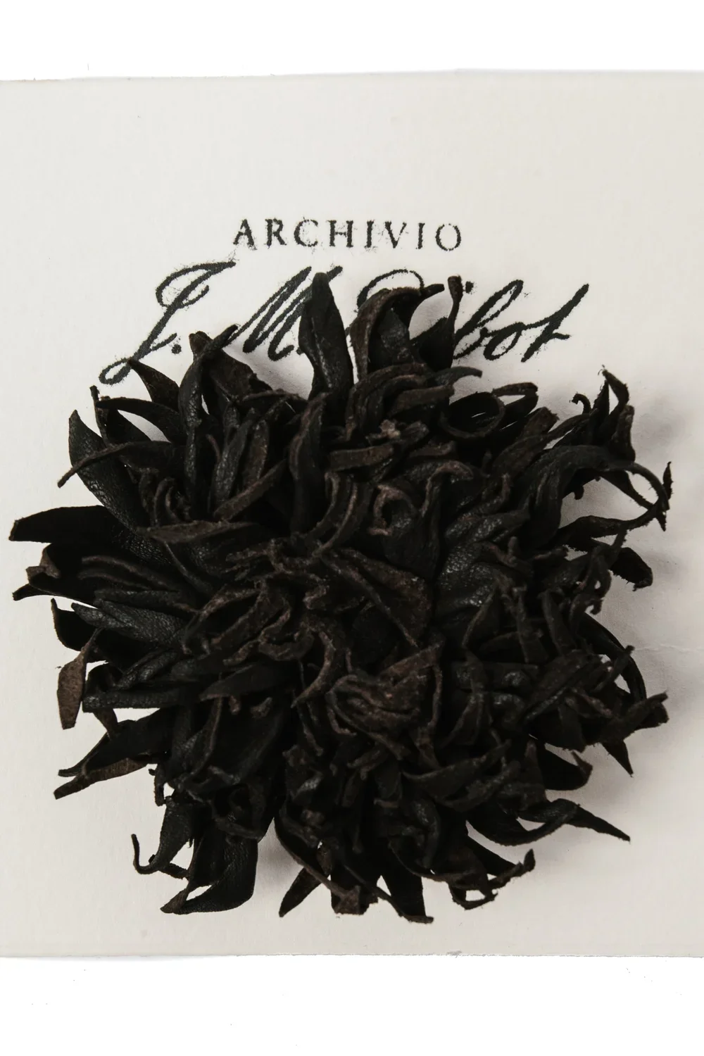 IMG_8272.webp (Copy)