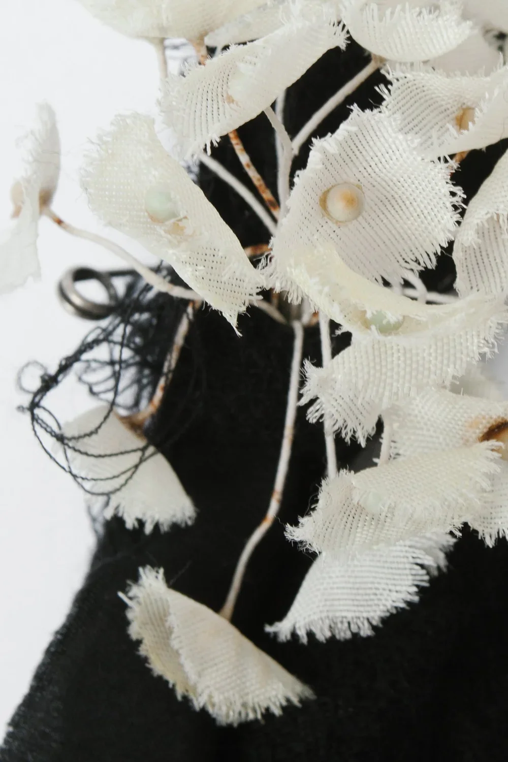 IMG_8279.webp (Copy)