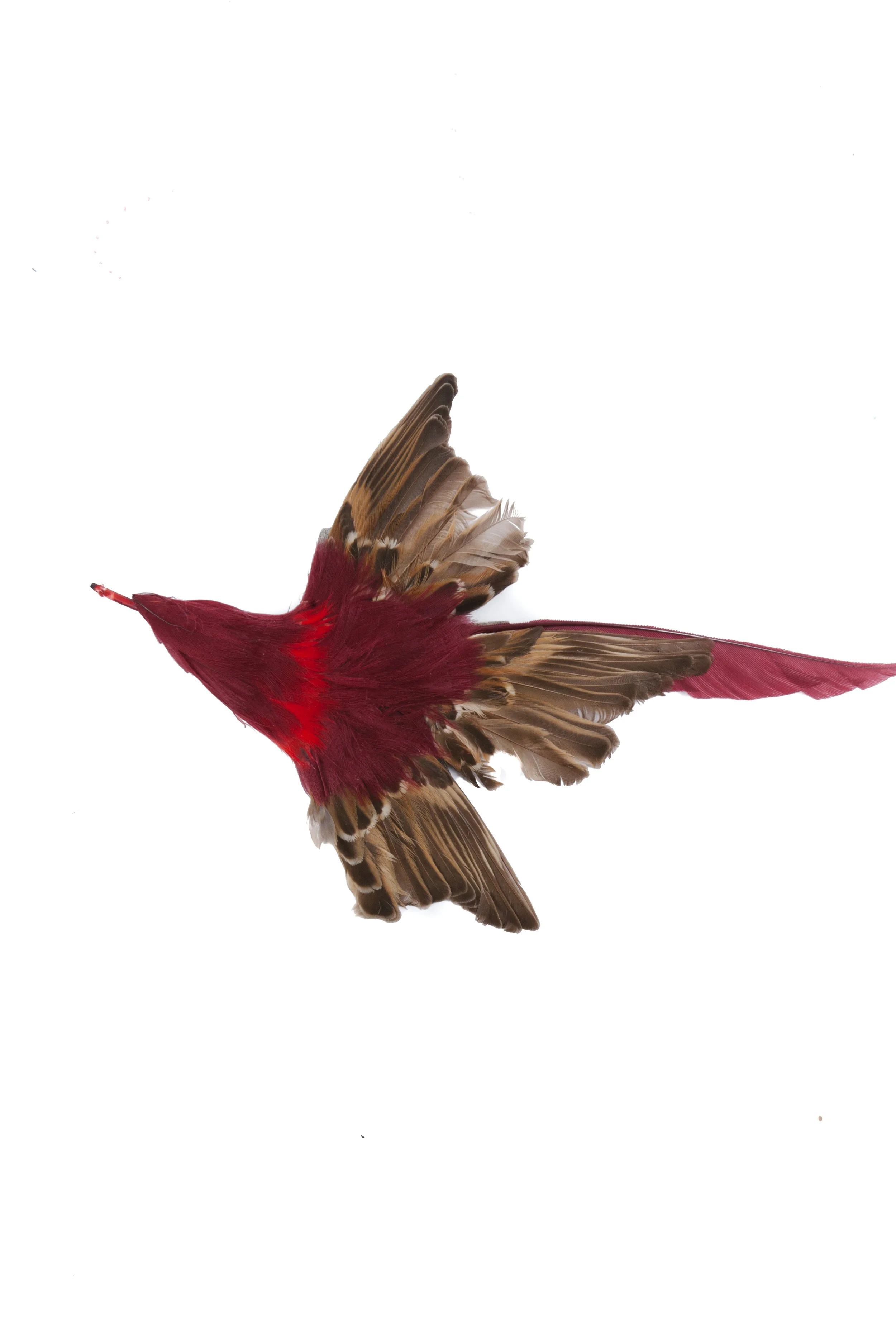 Archivio J. M. Ribot  Vintage Bird Pin