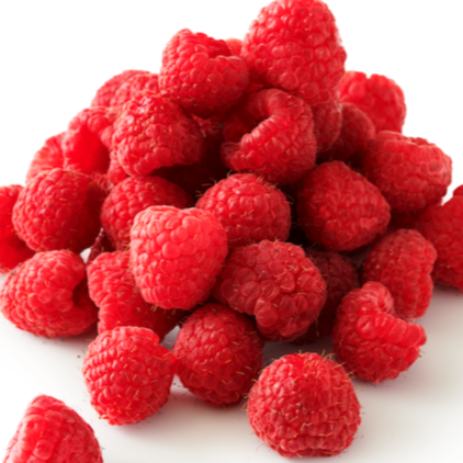 Photo Art Direction and Ops