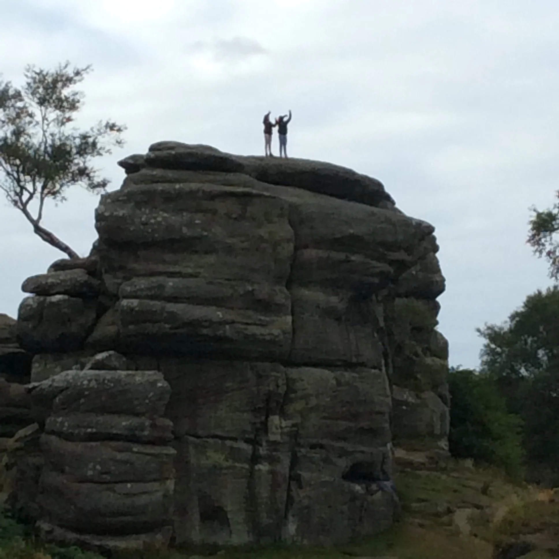 Stories help us understand