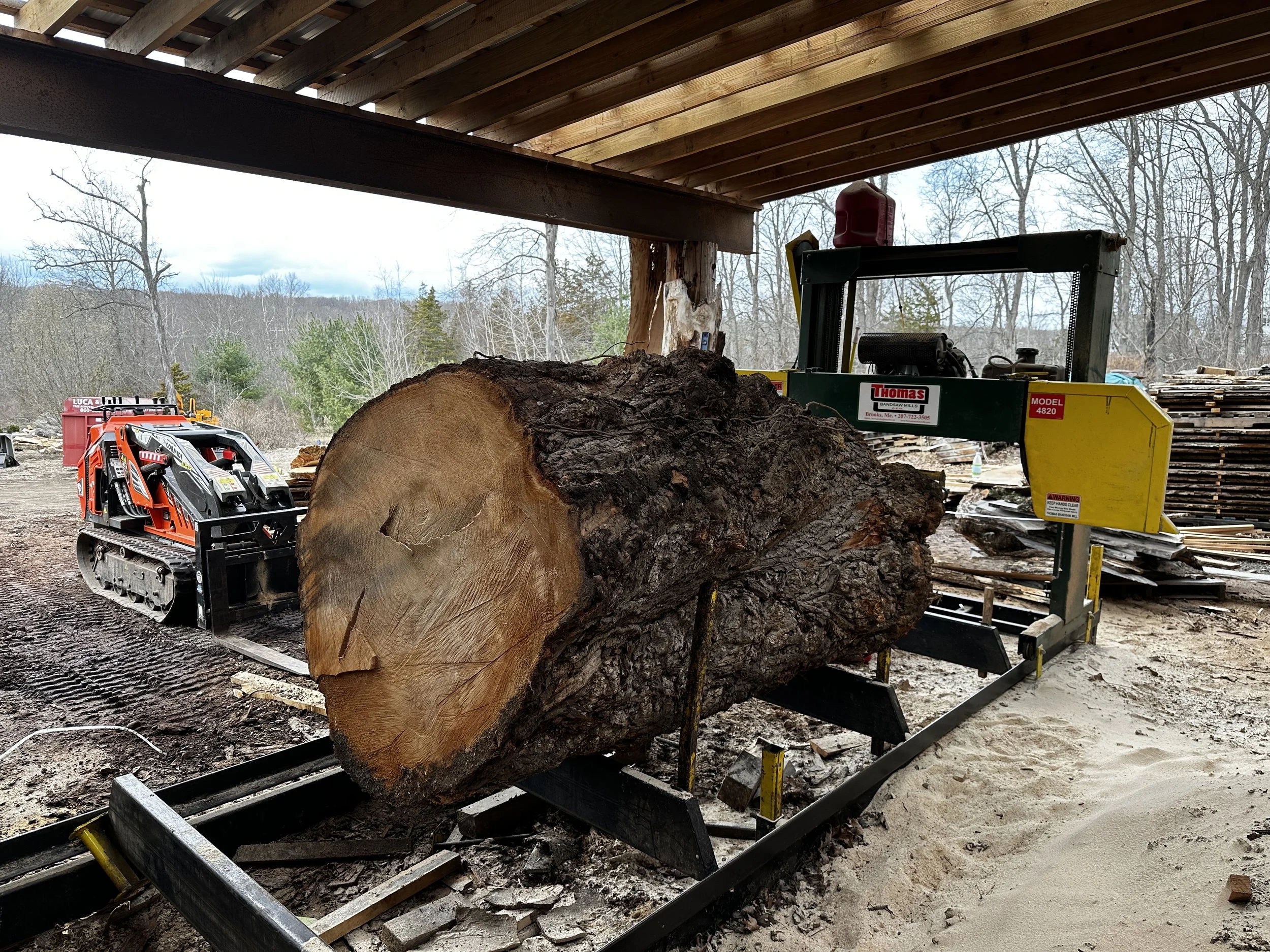 40" diameter Weeping Willow burl