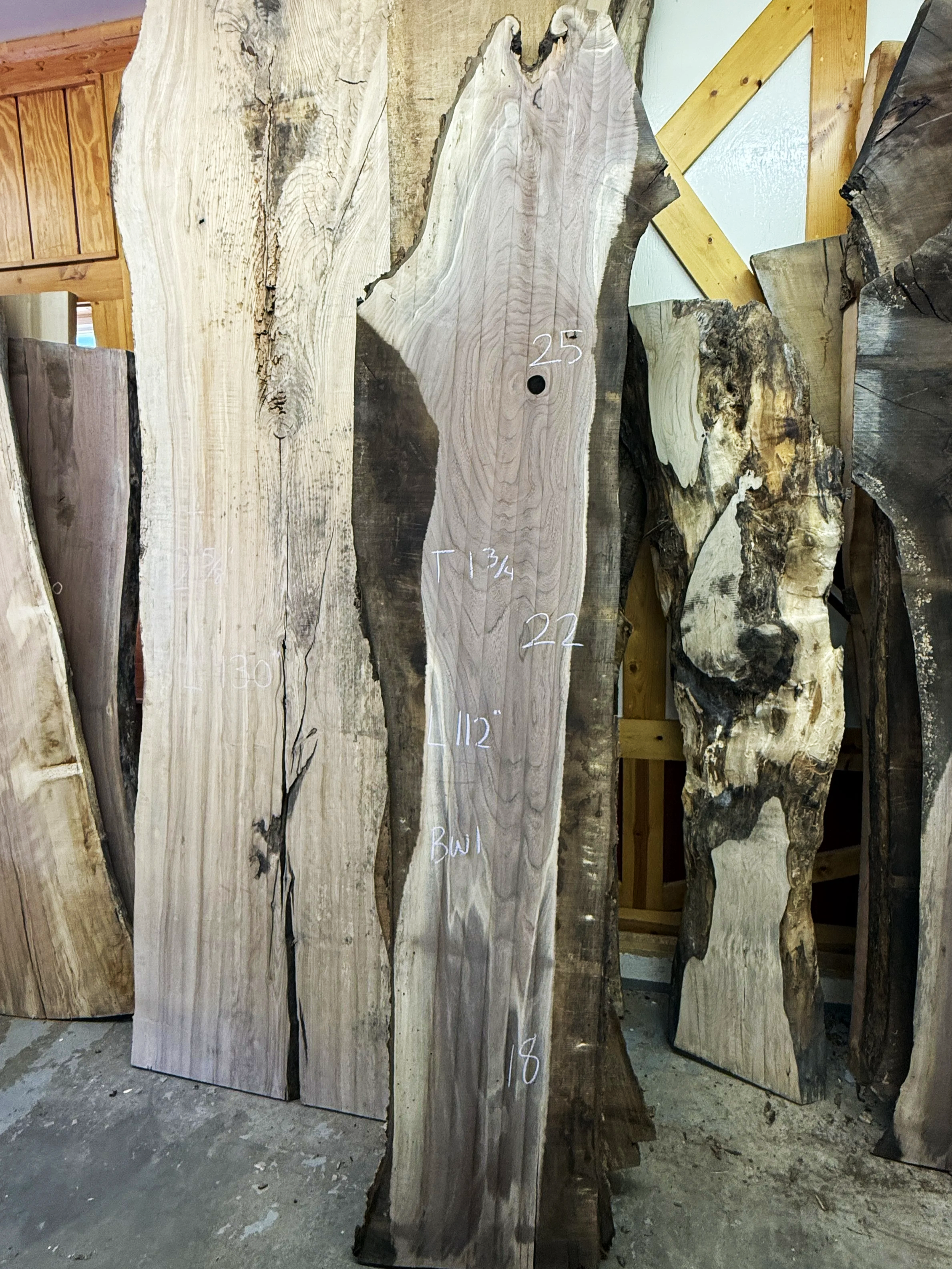 Black Walnut