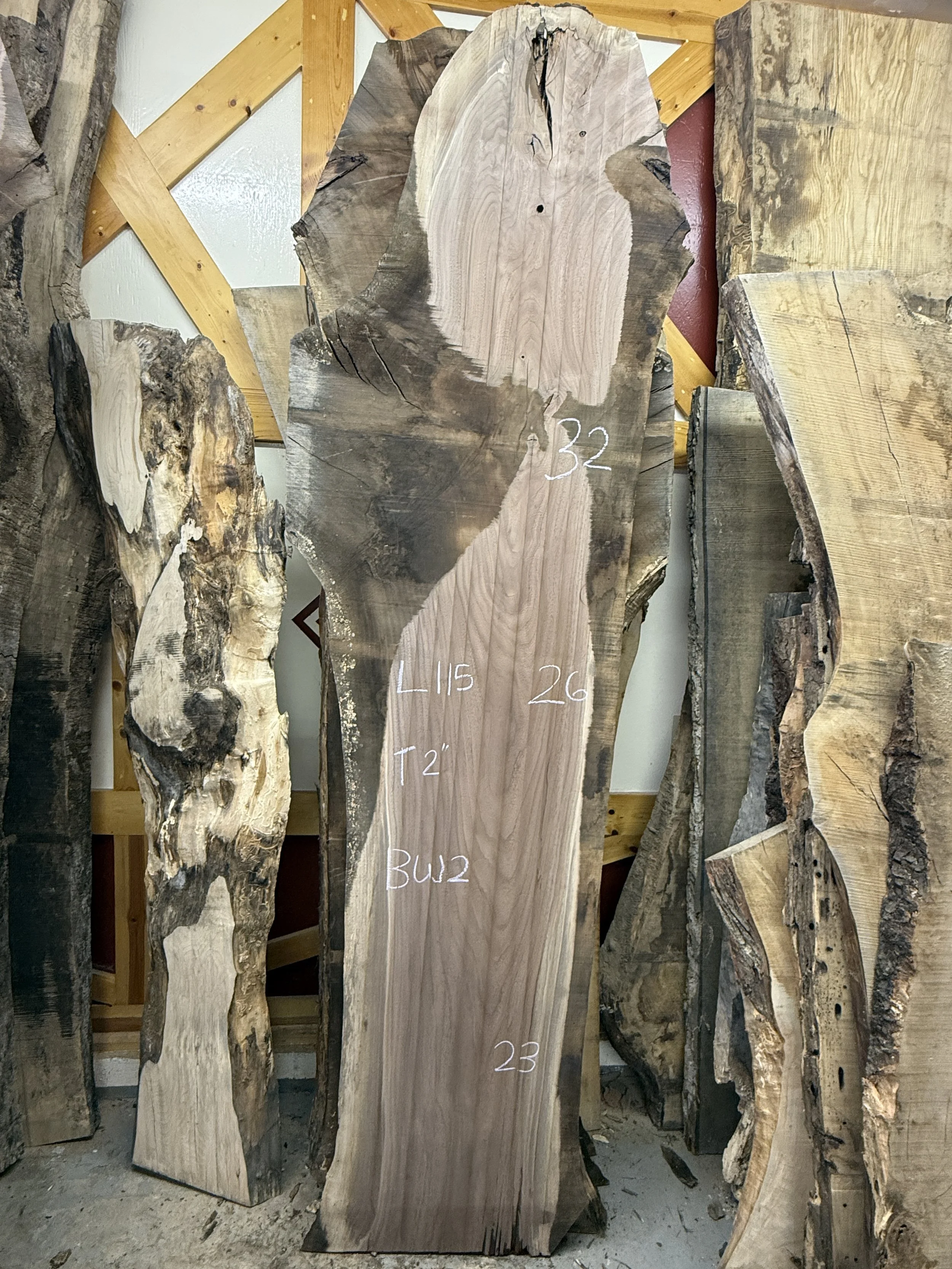 Black Walnut