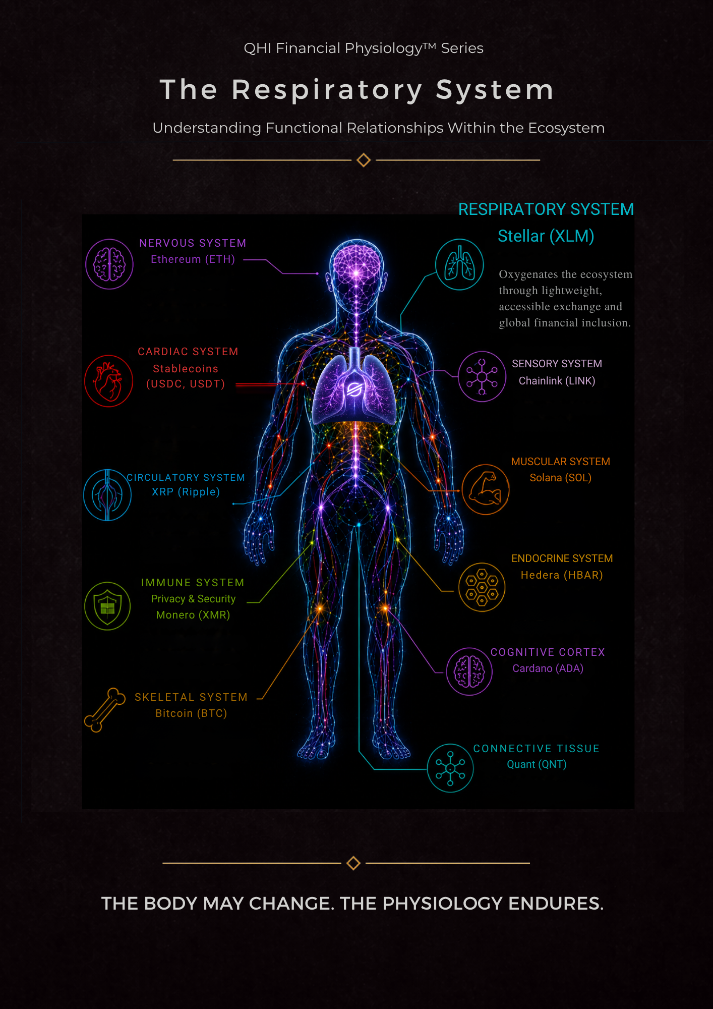 Stellar Lumens: Respiratory™