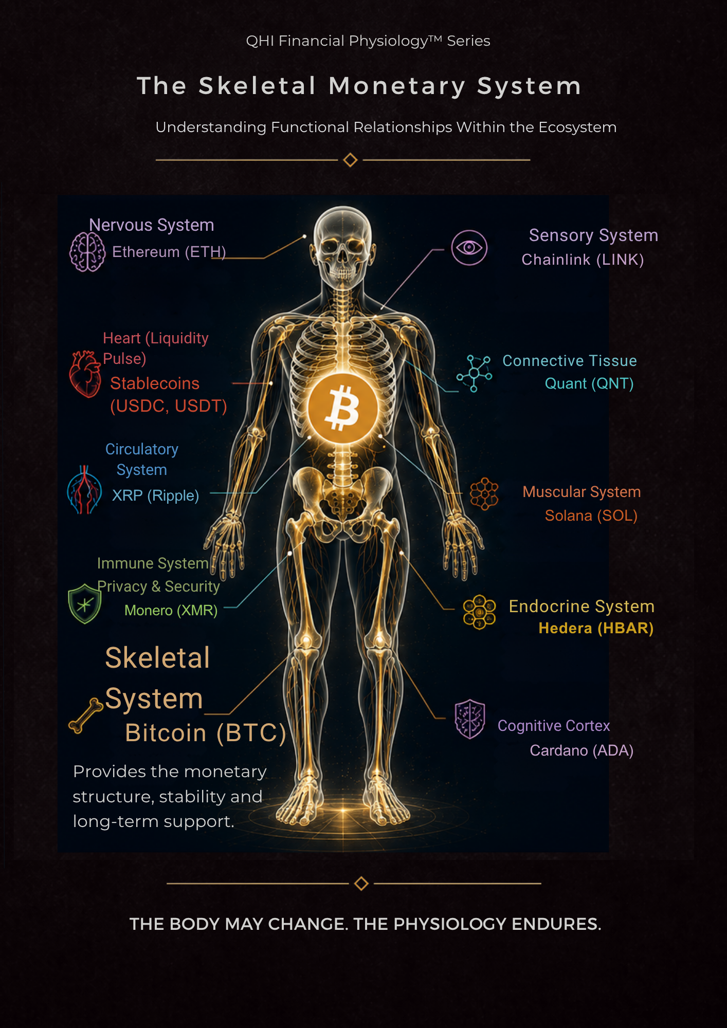 Bitcoin: The Skeletal Monetary System™