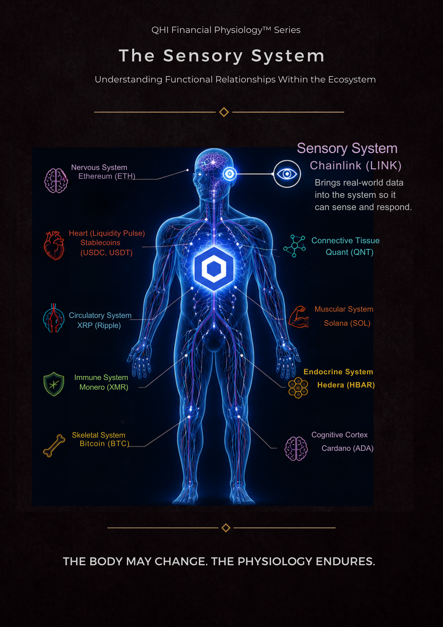 Chainlink: Sensory System™