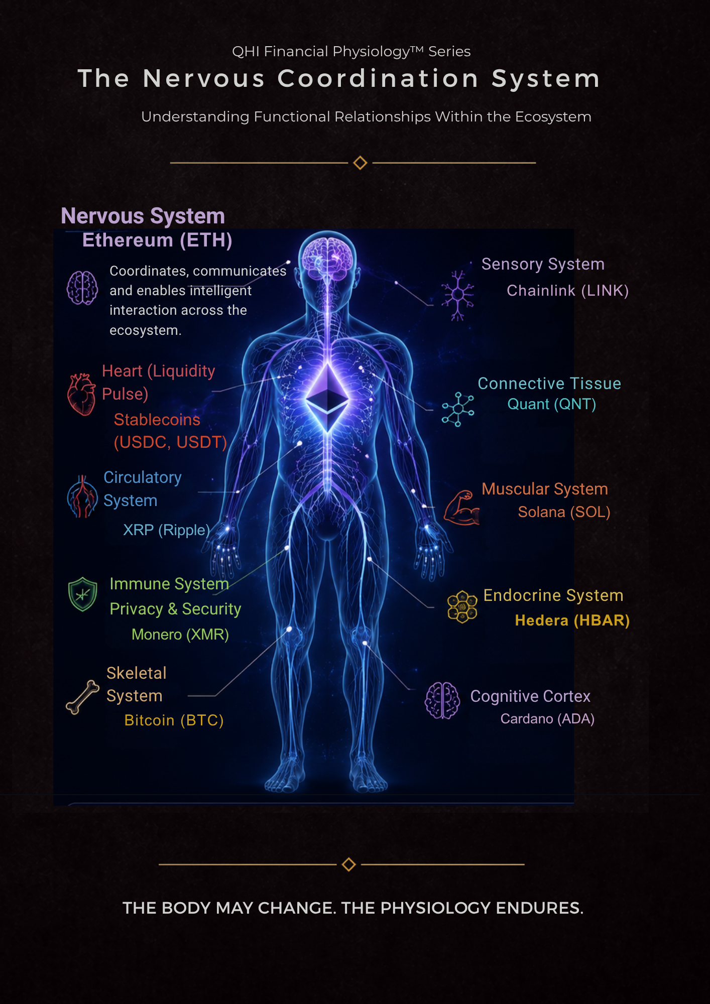 Ethereum: Nervous System™
