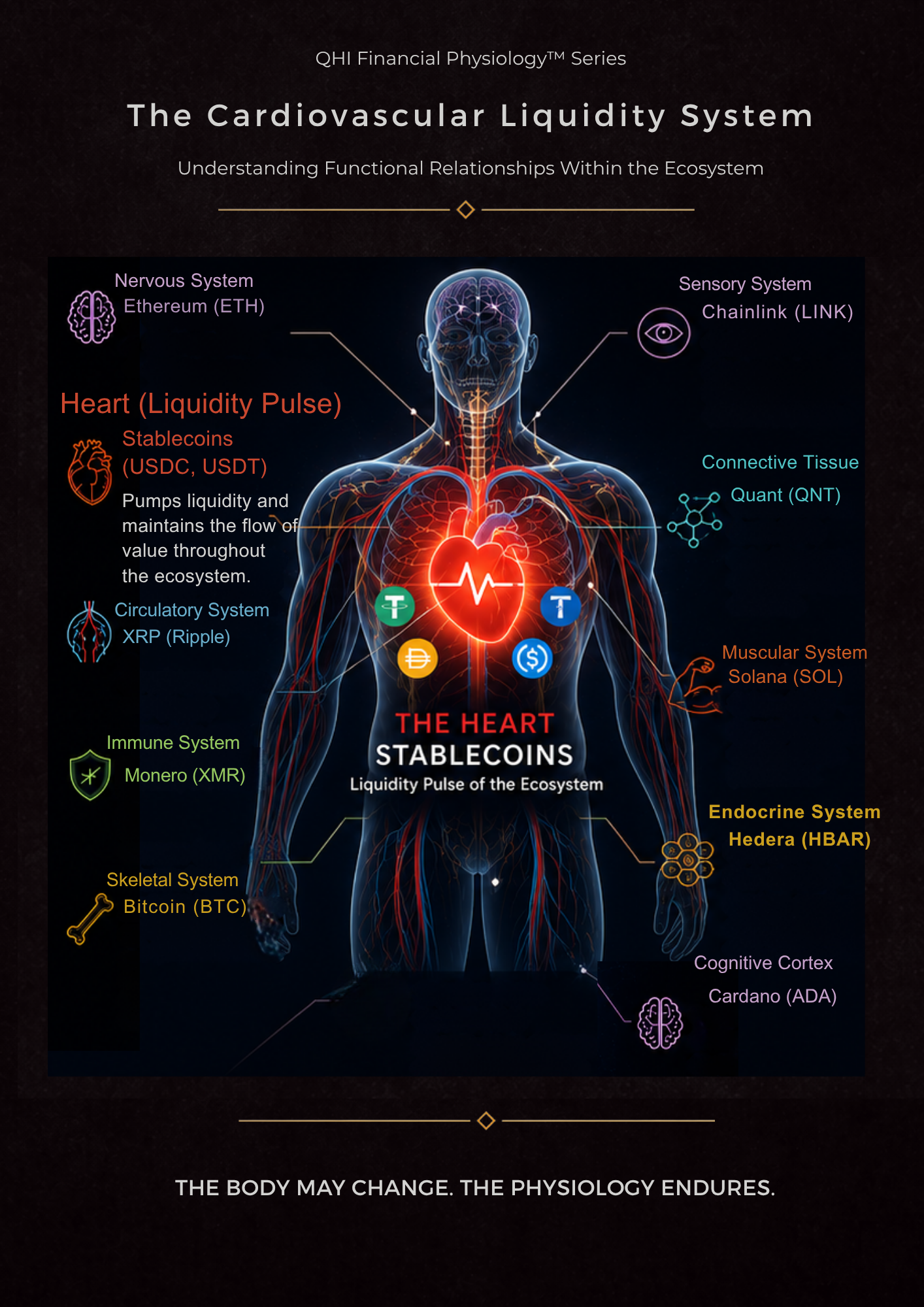 Stablecoins: Cardiovascular System™