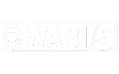 WABI5.png