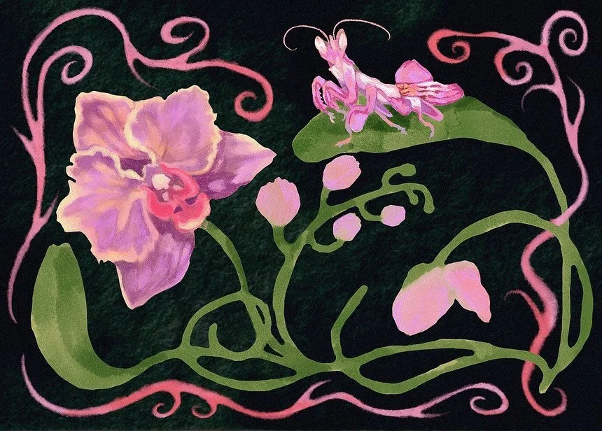 day 8, flower
and day 9, today is thursday 
was at total loss for the thursday one but i saw this picture of this cat from @caden.001 and i was like sure!! 👍🏻 so there&rsquo;s no thursday this week&hellip;.
see last slide for the ominous version