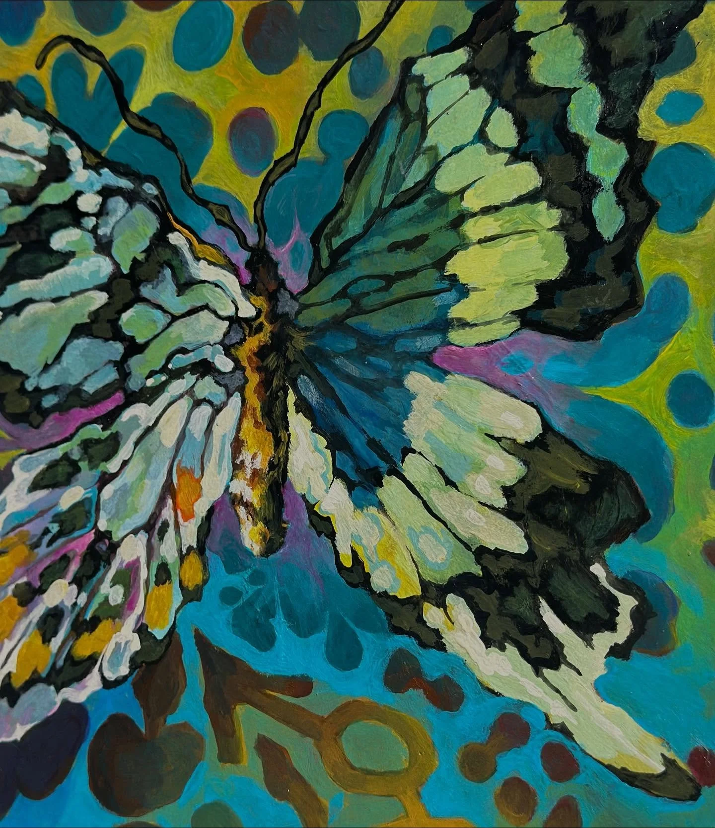 papilio laglaizei
bilateral gynandromorphism in a swallowtail butterfly 
ཐི༏ཋྀ󠀮
acrylic on wood
ཐི༏ཋྀ󠀮
gynandromorphs exhibit both male and female characteristics at once - in the case of this butterfly, being a bilateral gynandromorph means it is 